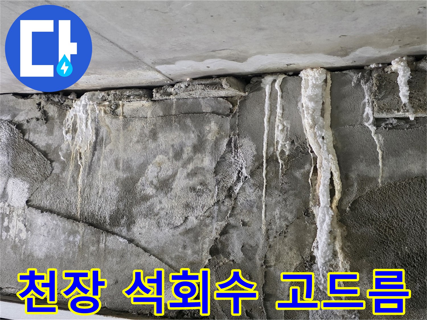 운중동 누수 - 천장 석회수 고드름, 붕괴 전조