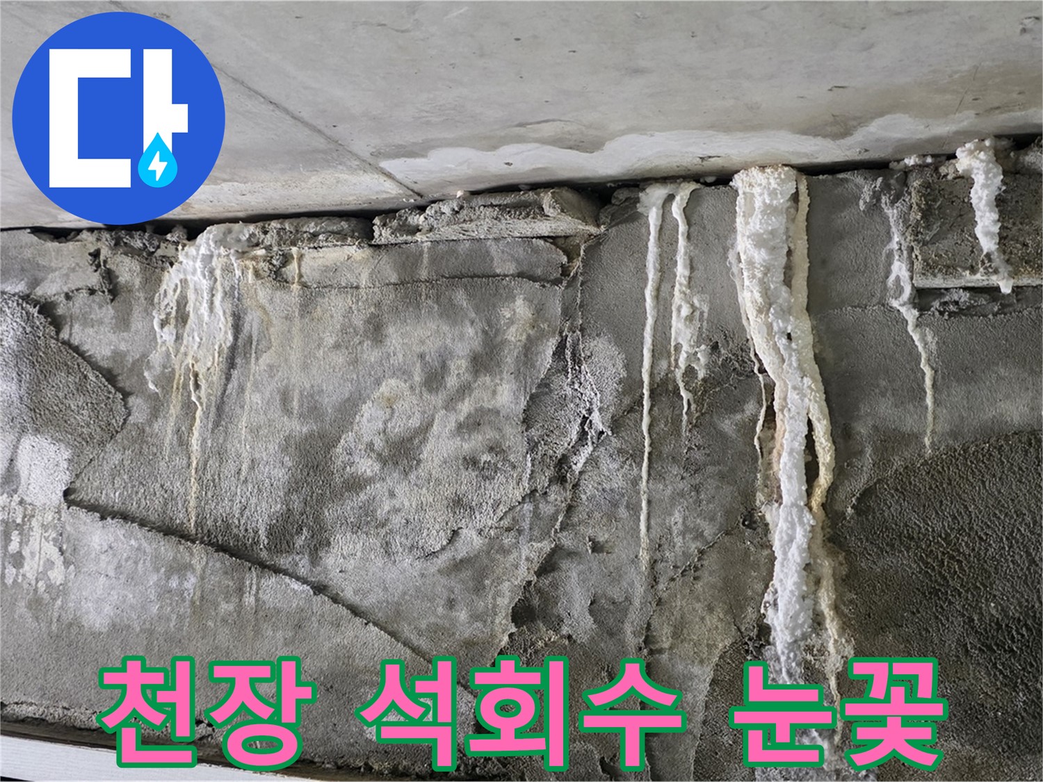 운중동 누수 - 천장 석회수 눈꽃, 건물 안전 비상