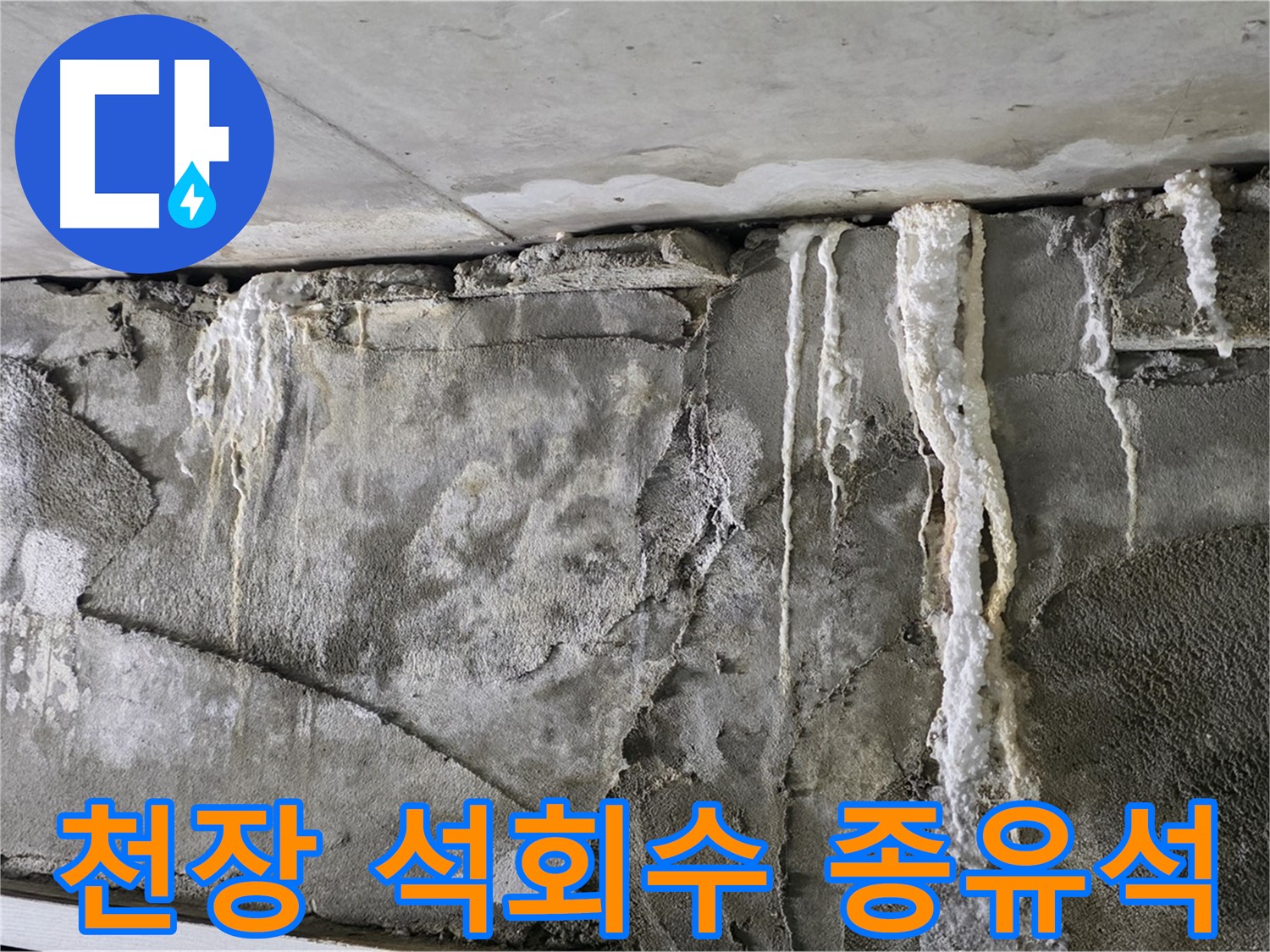 운중동 누수 - 천장 석회수 종유석, 붕괴 임박