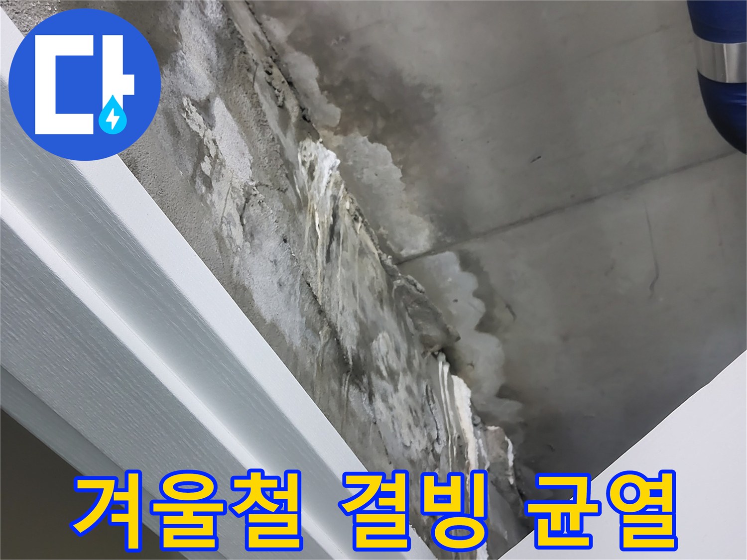 운중동 산운로 - 콘크리트 누수 - 겨울철 결빙으로 인한 균열 확대