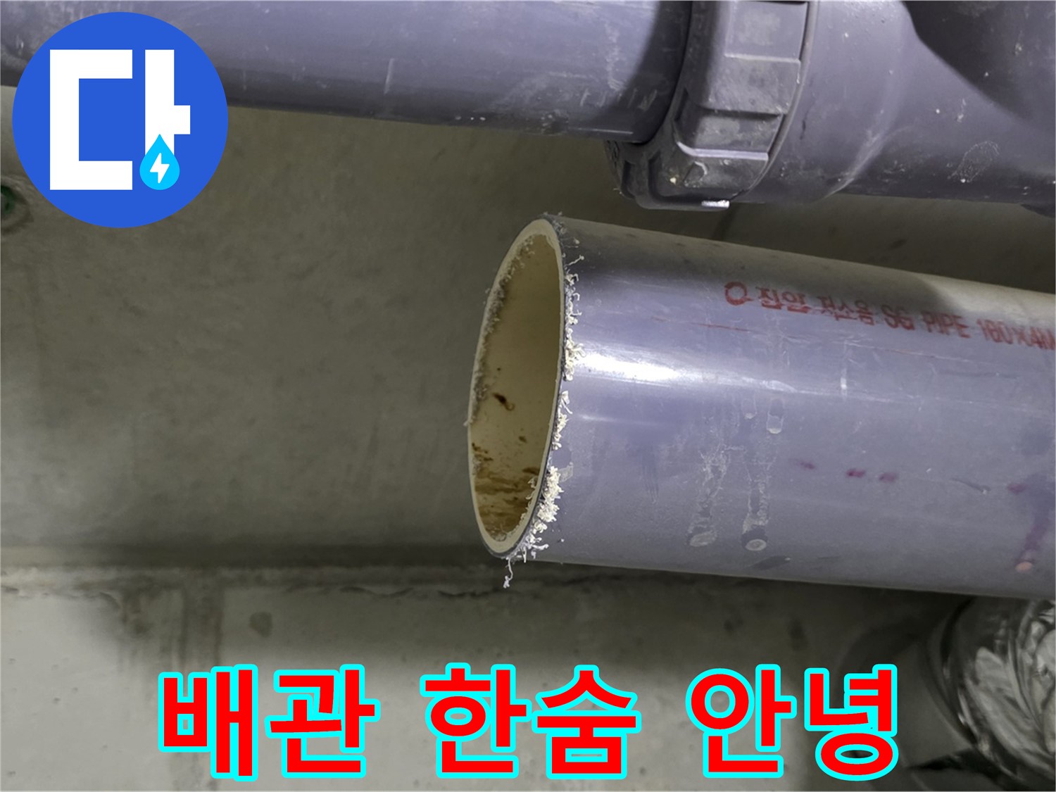운중동 산운마을 누수 현장 - 낡은 배관의 상태를 보여주며 교체를 권유합니다 - 이제 누수와 작별할 시간!