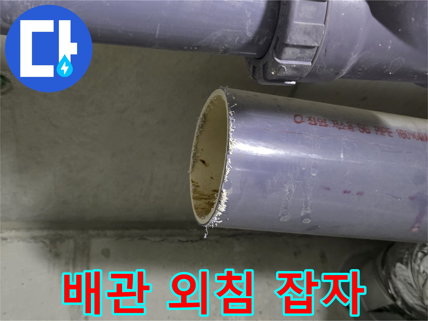 운중동 산운마을 누수 현장 - 뻥 뚫린 배관의 단면을 보여주며 누수 해결 의지를 불태웁니다 - 이제 누수와는 작별!