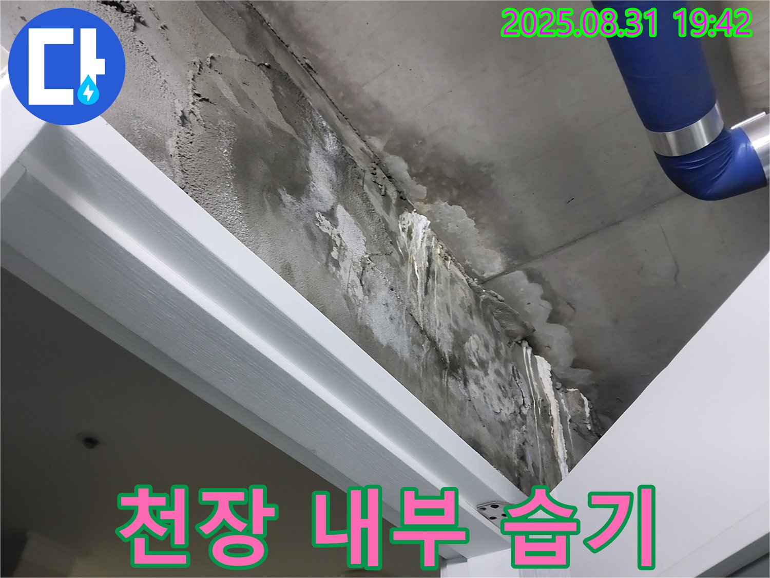 천장 내부 - 습기 - 누수가 진행 중인 천장 내부의 습기가 심각한 상태입니다.