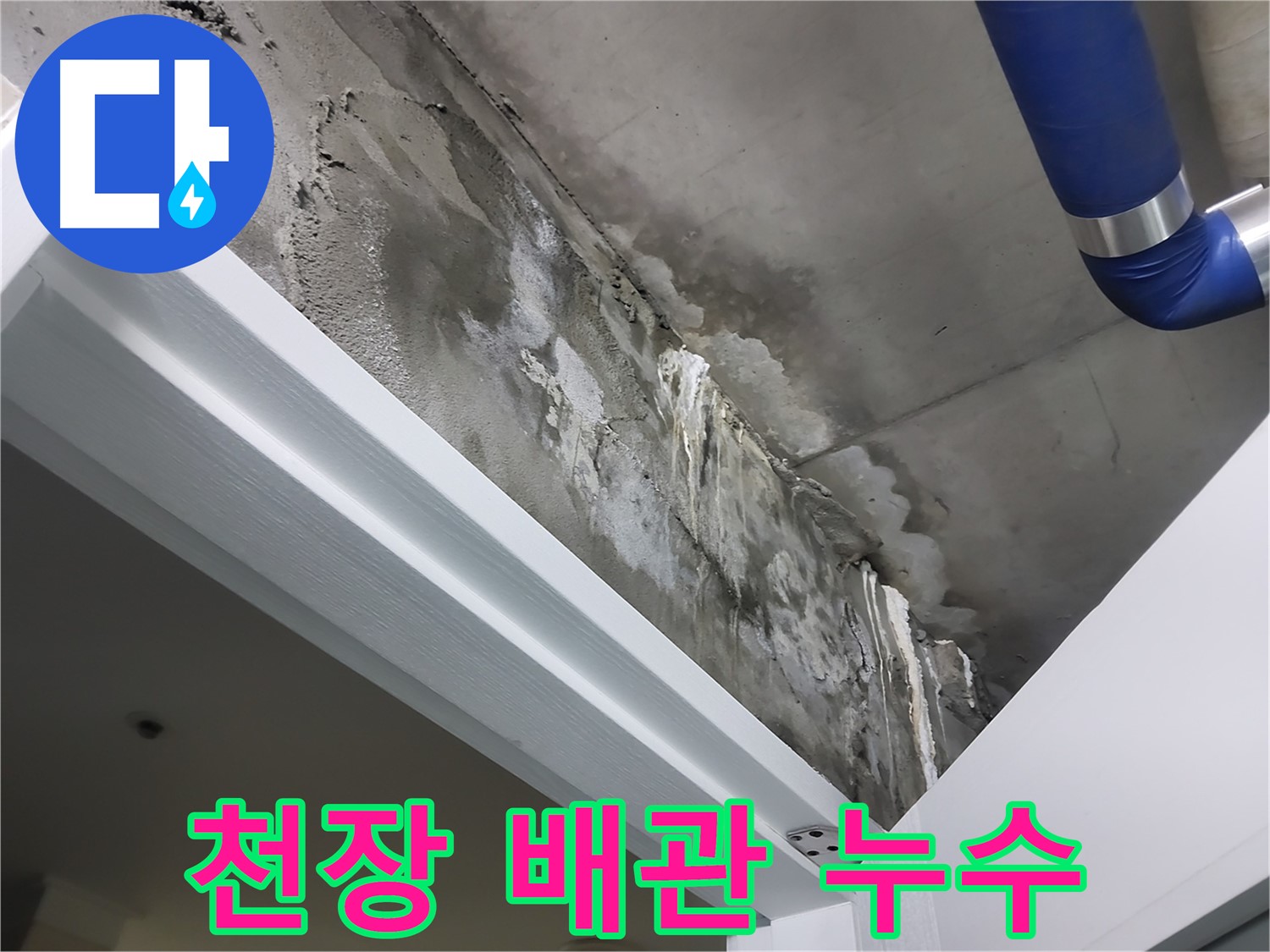 천장 배관 누수 - 천장 속 배관에서 누수가 발생하여 콘크리트 천장에 물이 스며든 모습입니다.