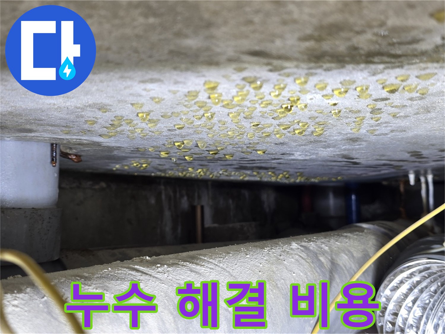 광진구 능동 빌라 천장 누수 - 합리적인 누수 해결 비용을 제시합니다.
