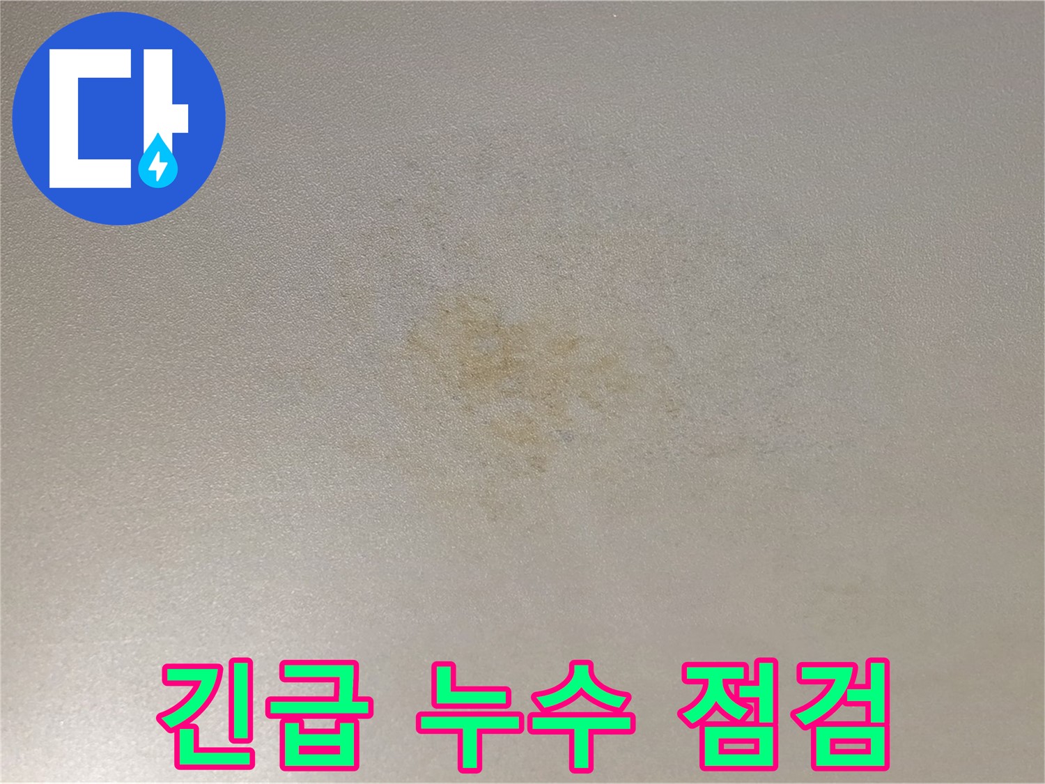 긴급 누수 점검 - 능동 아성빌라트 천장 누수 문제 해결