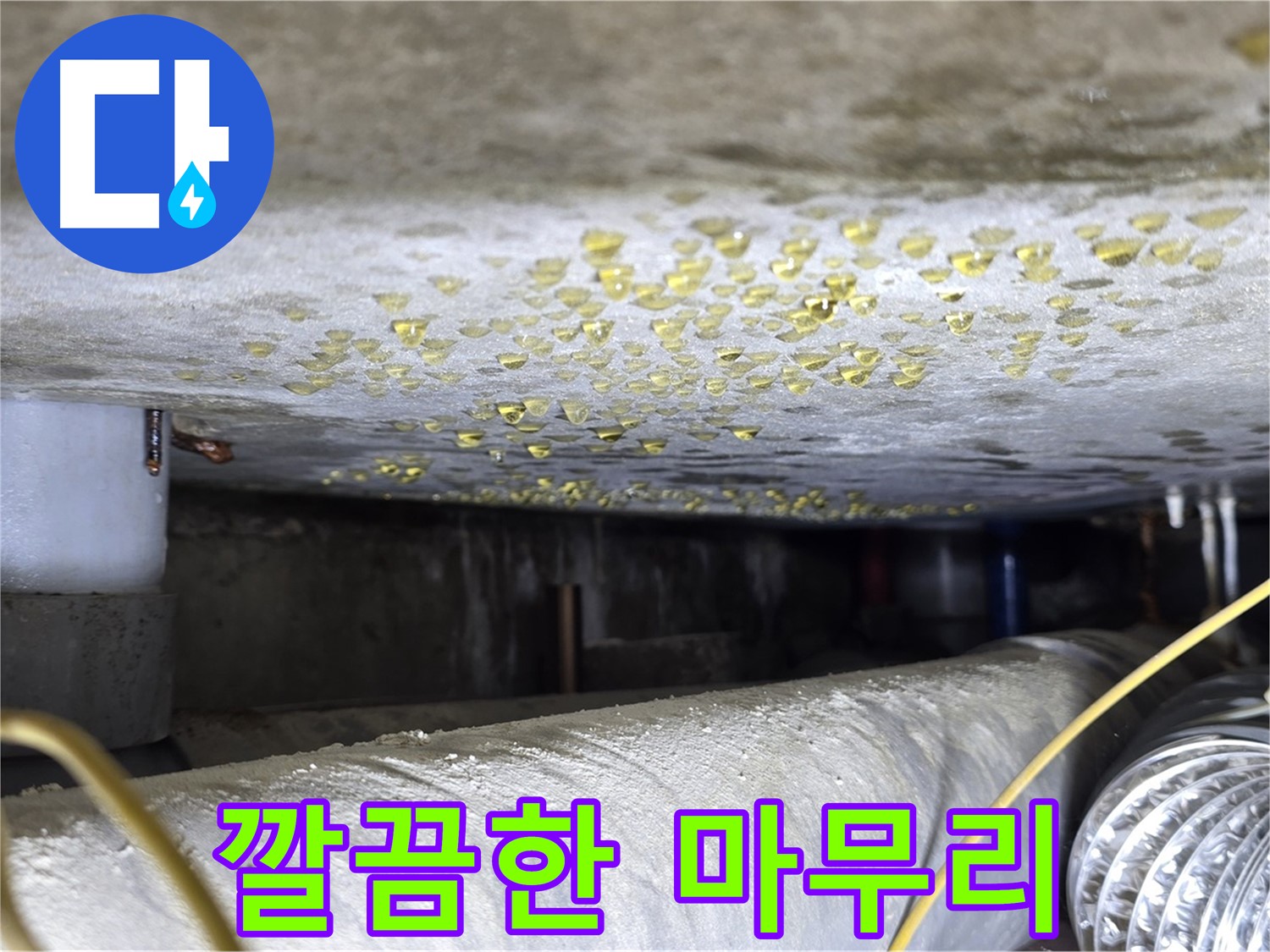 능동 아성빌라트 천장 누수 - 누수 해결 후 깔끔한 마무리 - 고객 만족
