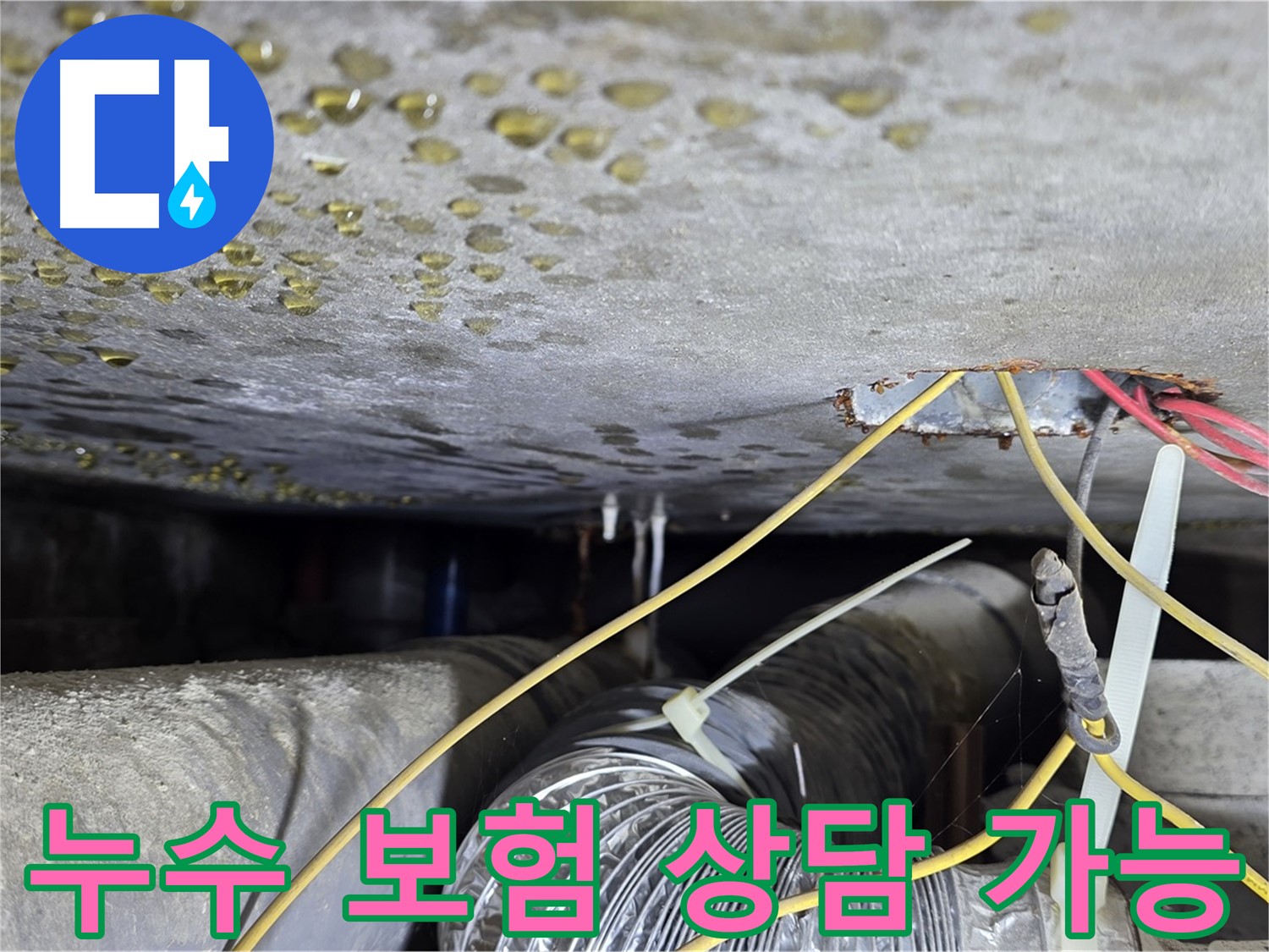 빌라 누수 보험 처리 상담 - 콘크리트 균열과 배관 문제 관련 보험 처리 지원