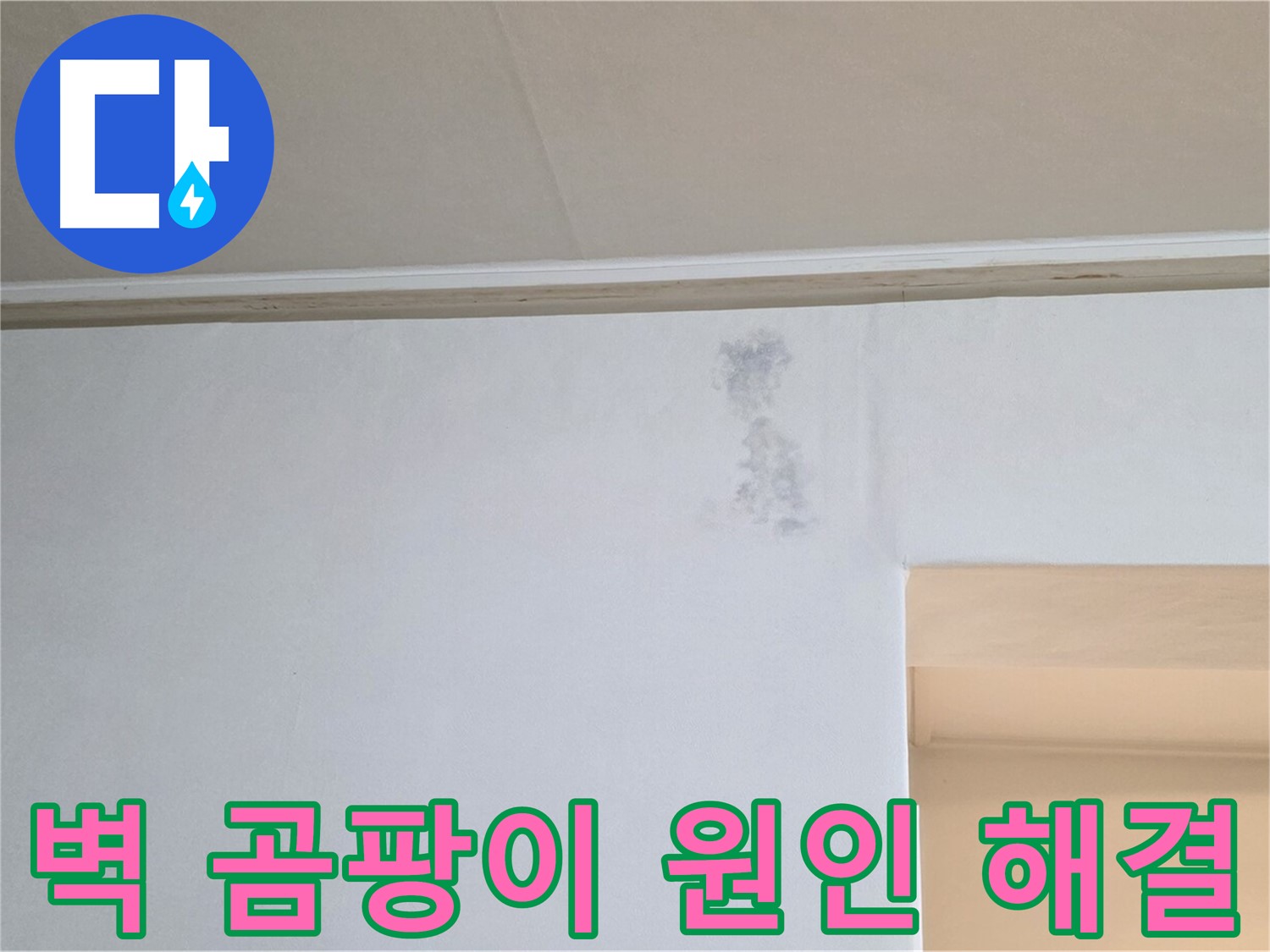벽 곰팡이 - 누수 원인을 해결하고 곰팡이를 제거한 깨끗한 벽면의 모습입니다.