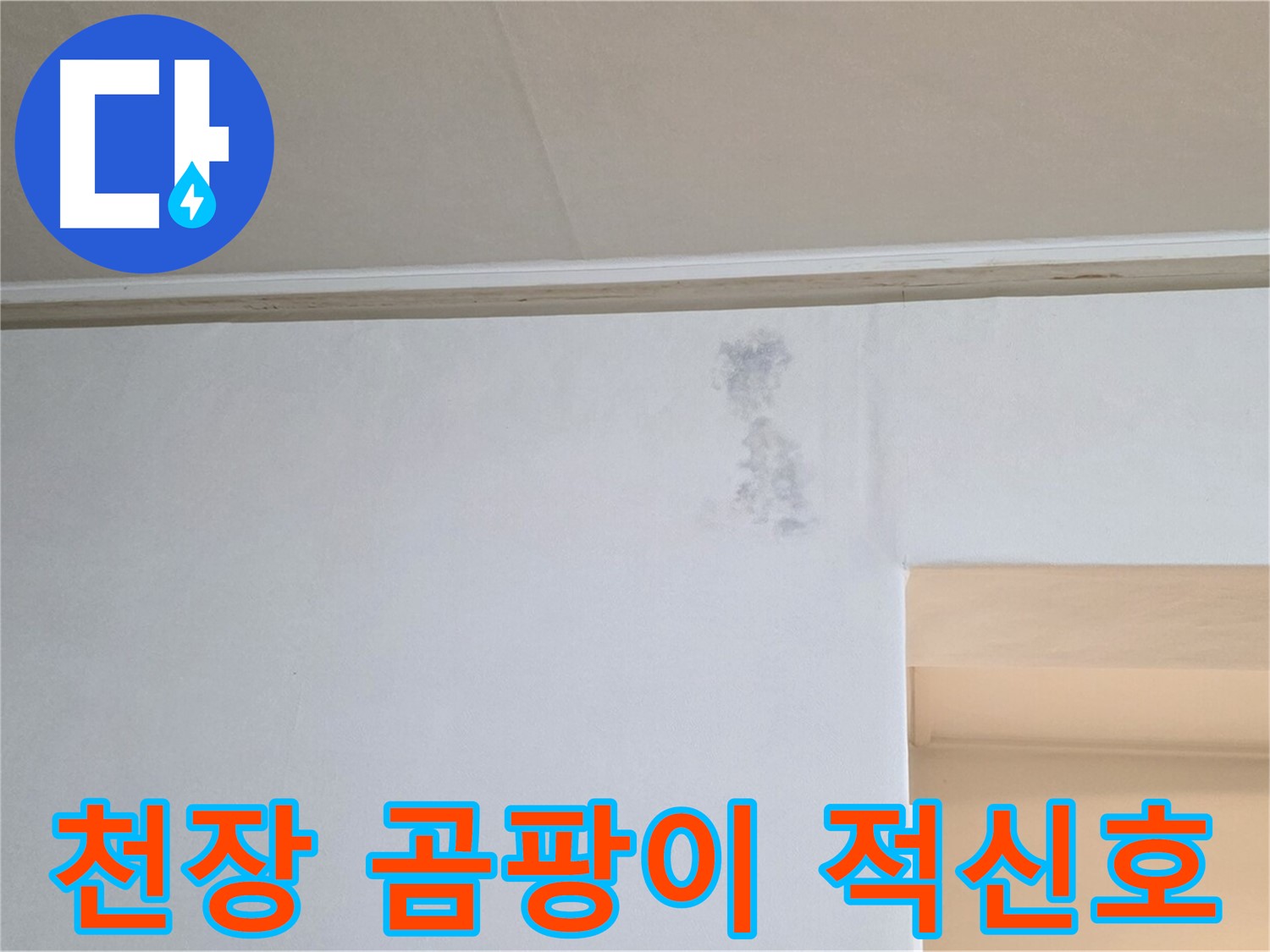 천장 곰팡이 - 건강에 해로운 천장 곰팡이의 모습입니다. 윗집 누수를 의심하고 즉시 제거하세요.