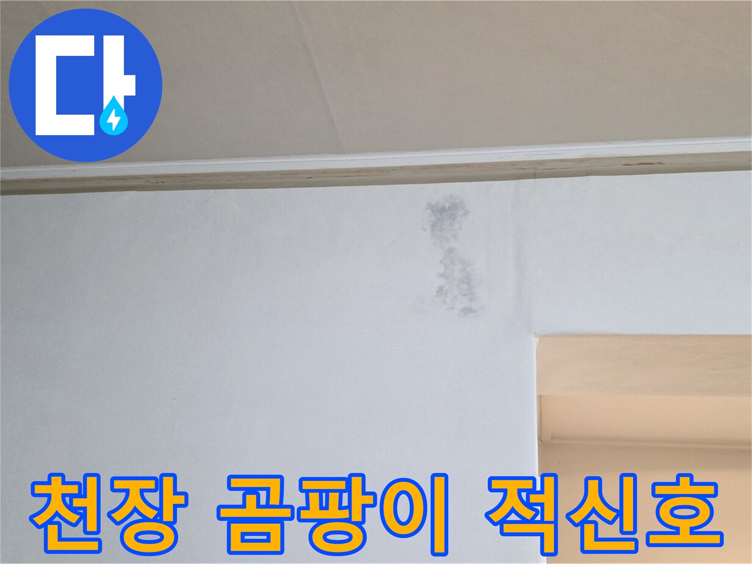 천장 곰팡이 - 건강에 해로운 천장 곰팡이의 모습입니다. 윗집 누수를 의심하고 즉시 제거하세요.