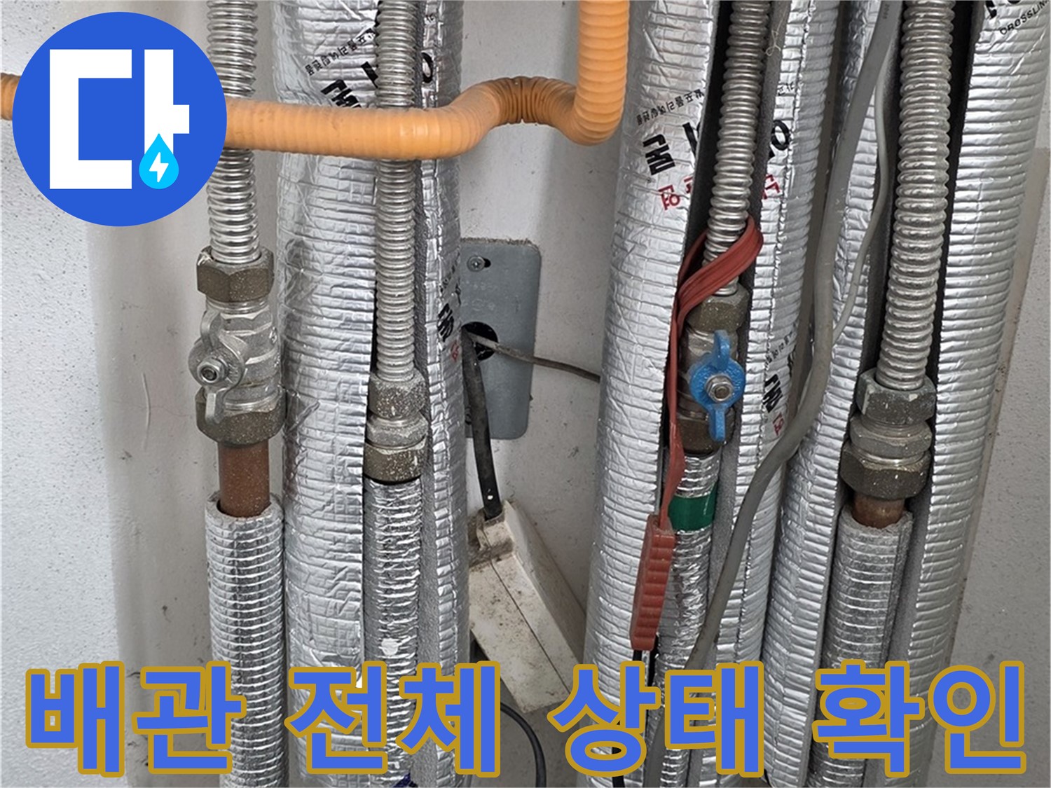포천 일동 기산리 아파트 - 배관 전체 상태를 확인하고 있습니다 - 꼼꼼한 점검으로 문제 예방.