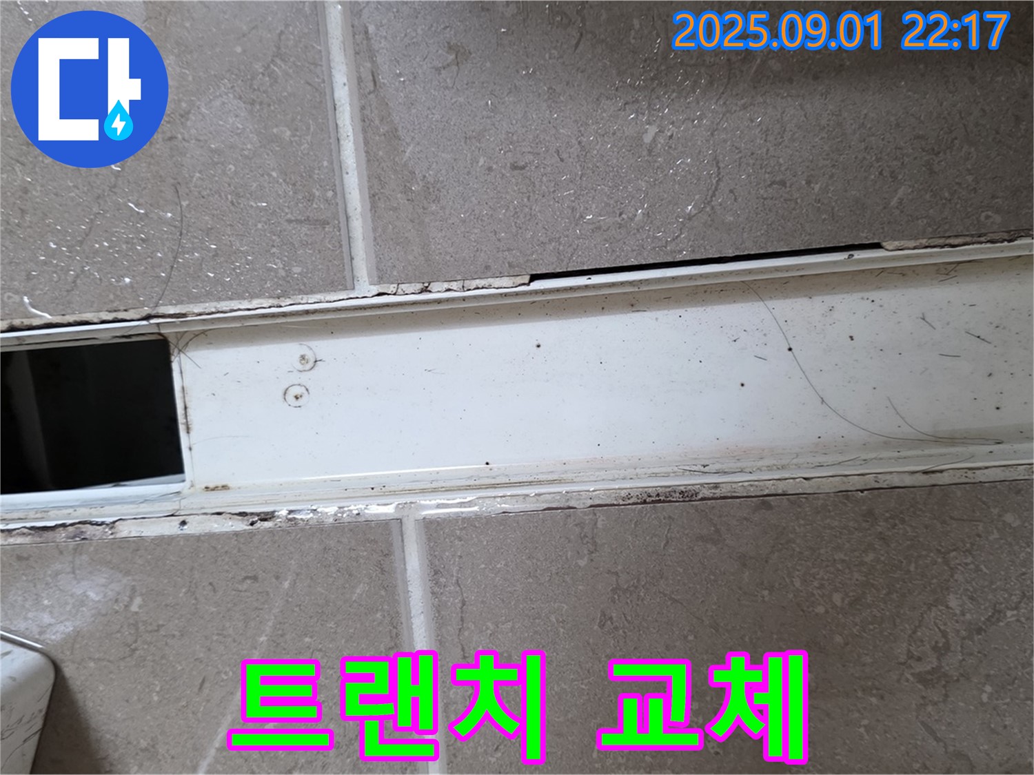 포천시 일동면 아파트 화장실 트랜치 교체 - 꼼꼼한 시공으로 누수 문제 해결