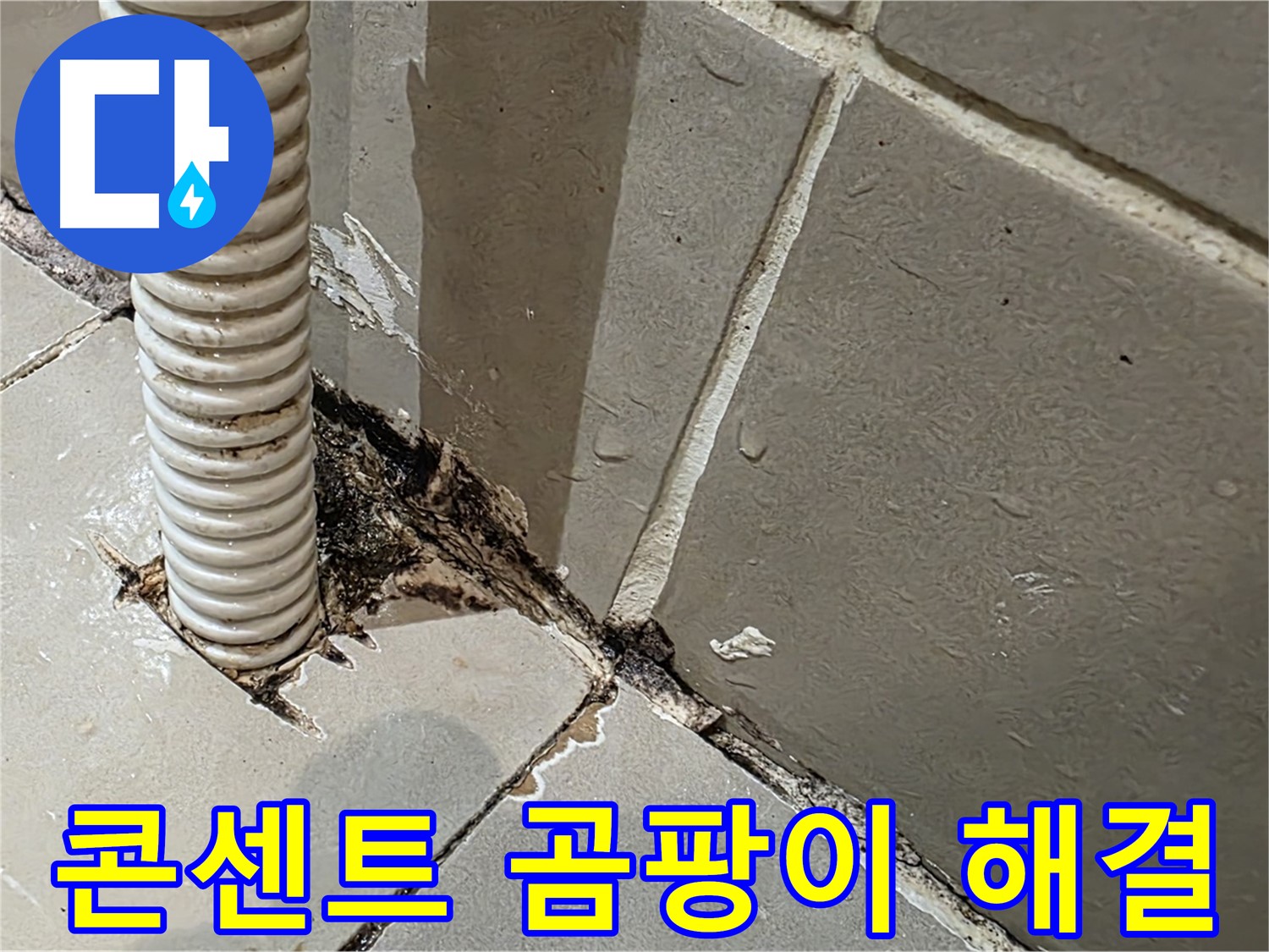 용산구 상가 누수 - 콘센트 배관 주변 곰팡이 문제 해결 전문가