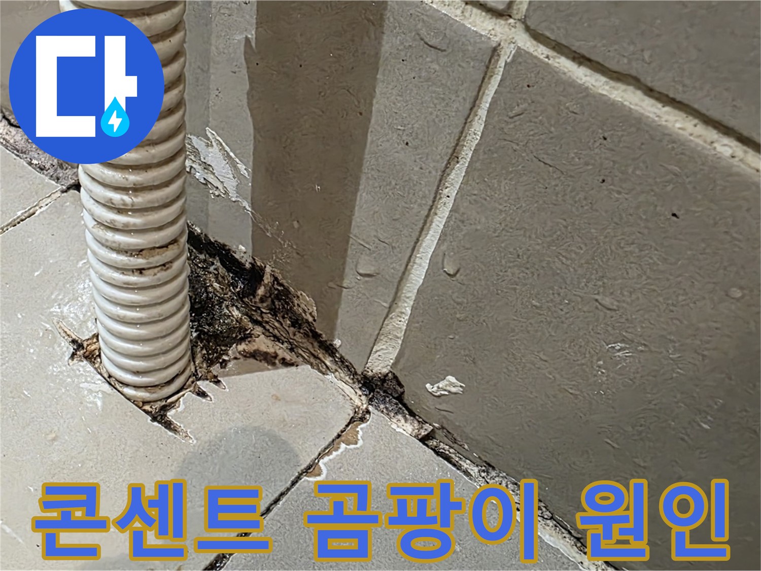 용산구 상가 누수 - 콘센트 배관 주변 곰팡이의 정확한 원인 분석