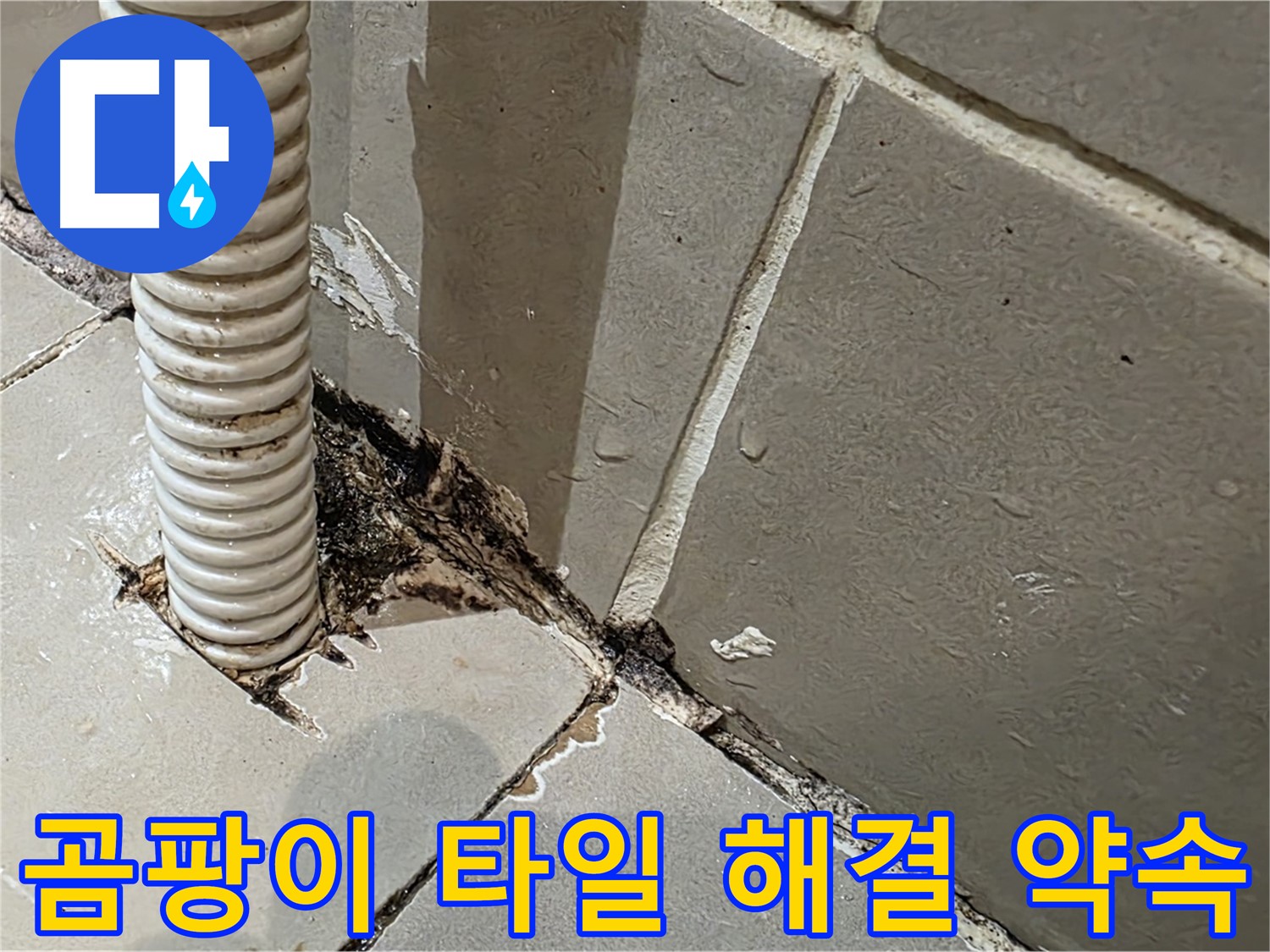 한강로2가 누수 - 배관 주변 곰팡이와 타일 손상 완벽 해결 약속