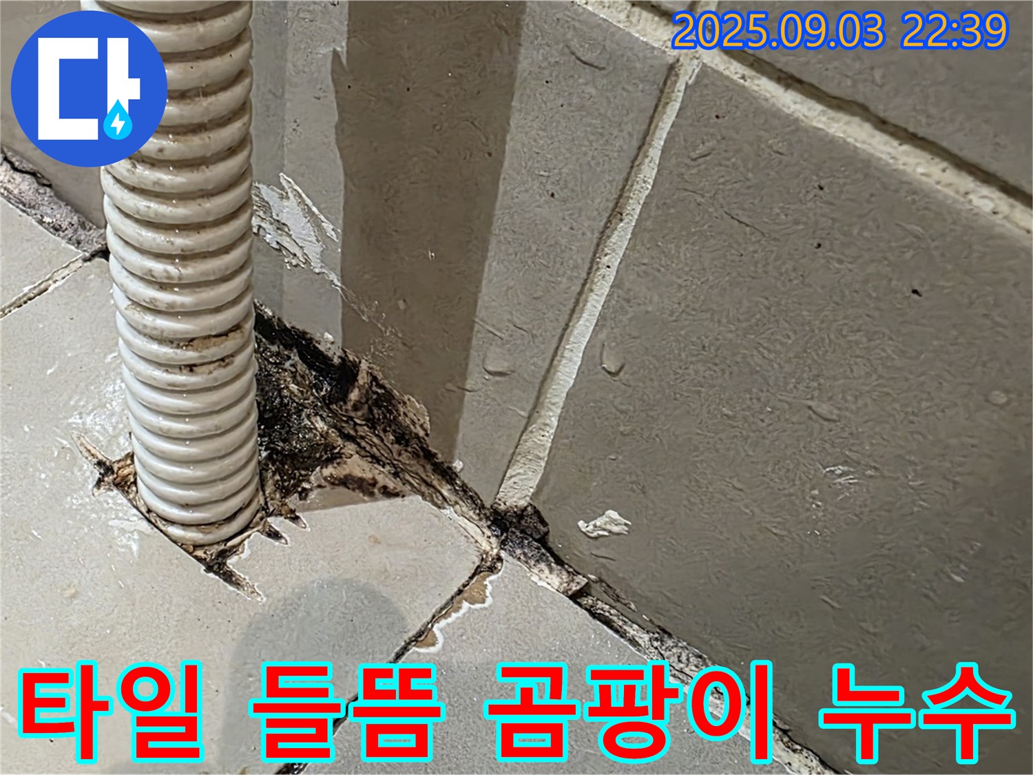 한강로2가 누수 - 타일 들뜸과 곰팡이를 누수 신호로 판단하고, 정확한 원인 파악을 위해 점검했습니다.