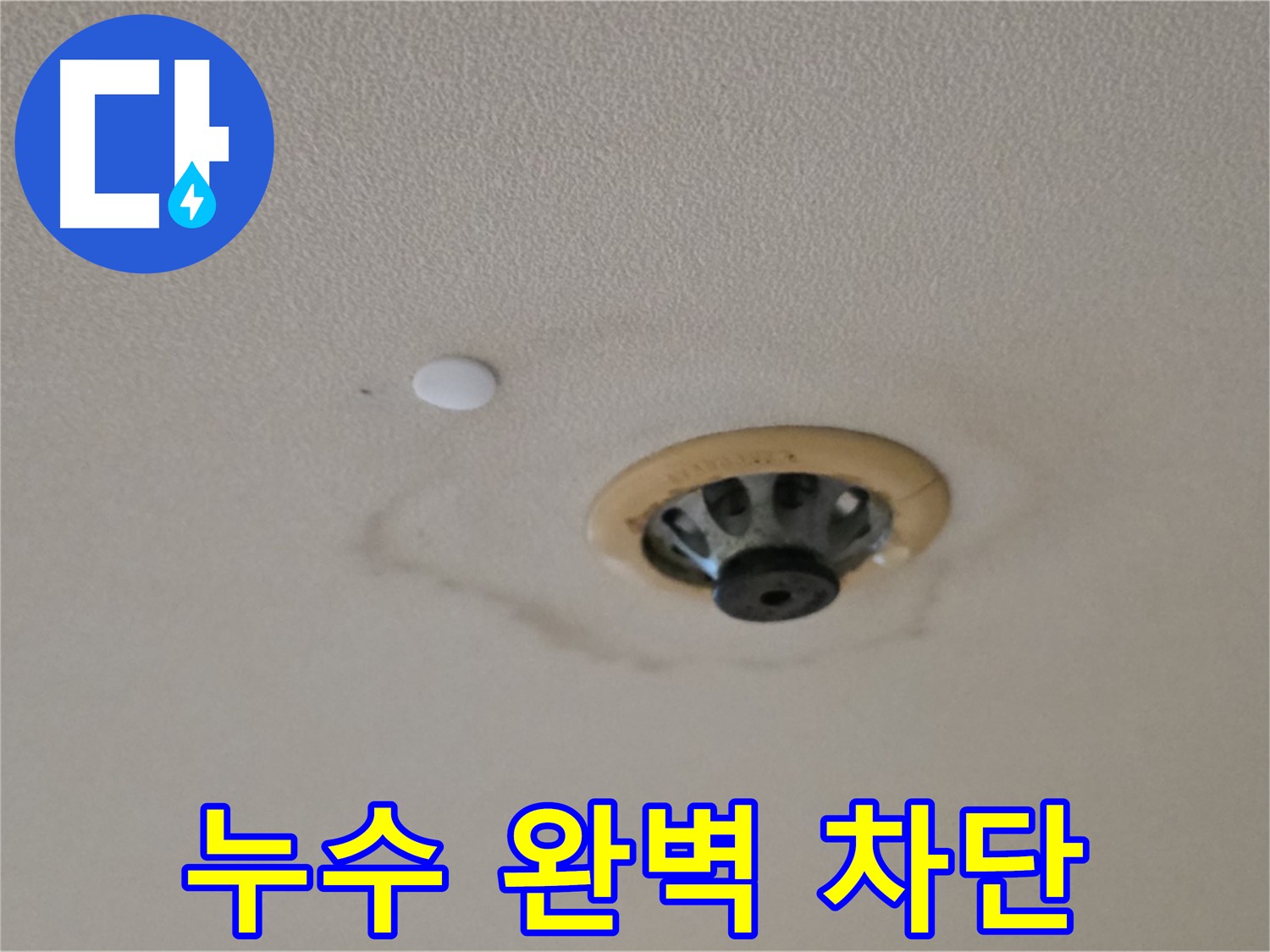 스프링클러 누수 완벽 차단 - 누수 흔적 제거