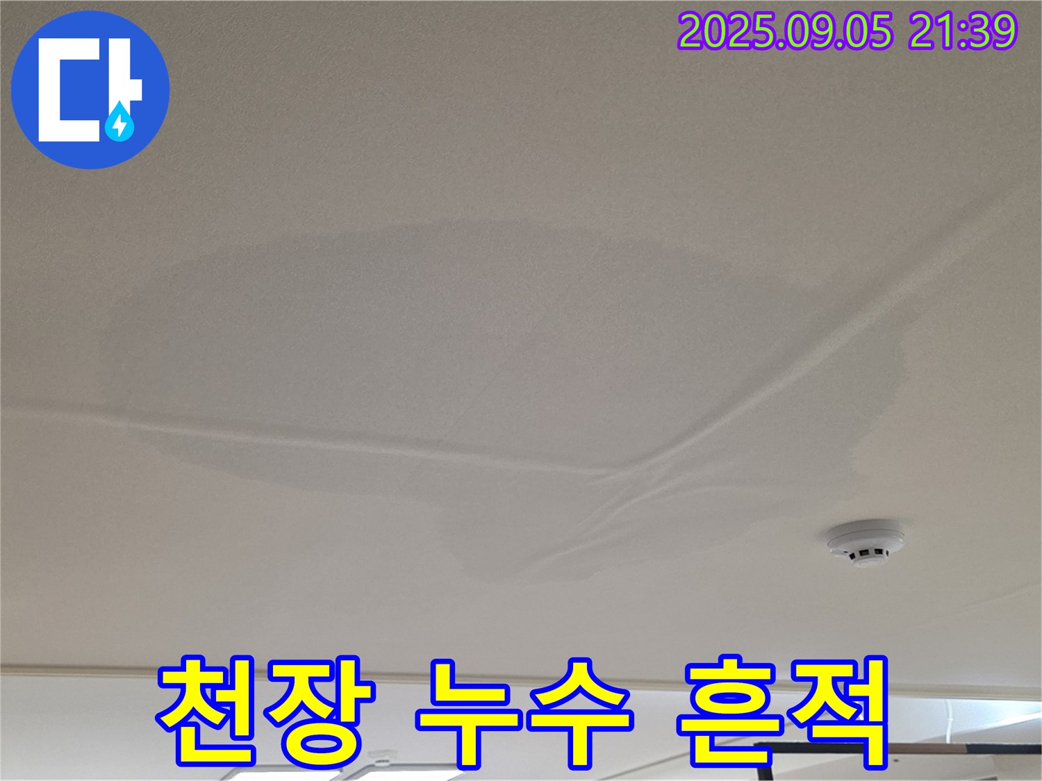 사가정 센트럴아이파크 - 천장 누수 흔적, 젖은 천장