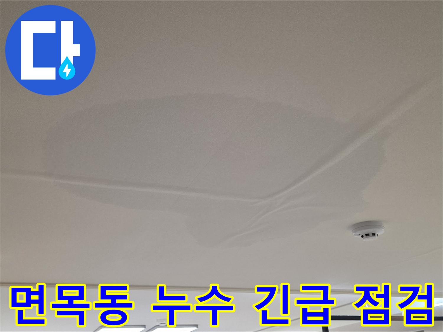 아랫집 천장 누수 - 넓은 범위 물 얼룩 - 긴급 누수 점검 진행