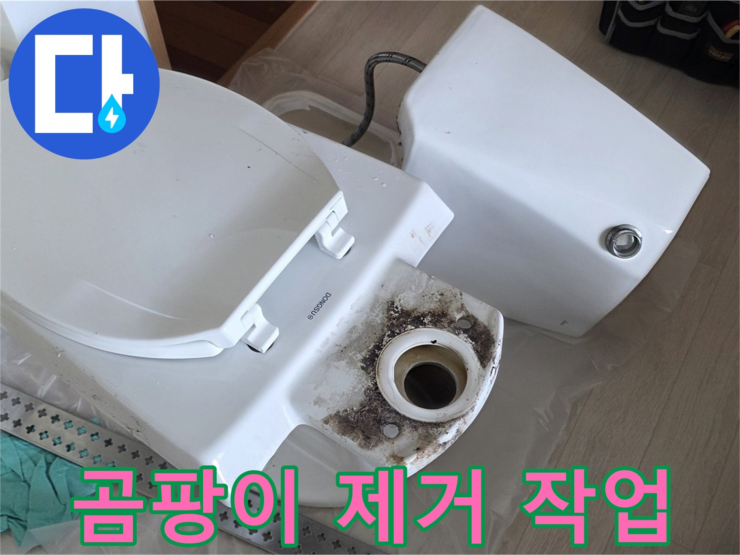 경기 포천시 일동면 운악청계로 - 곰팡이 제거를 위한 완벽 준비!