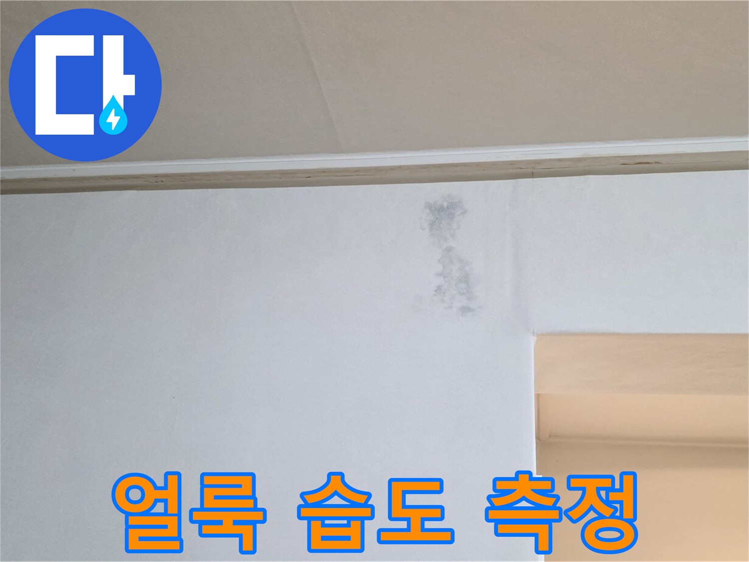 그림자 얼룩 습도 측정 - 누수 & 곰팡이 정밀 검사