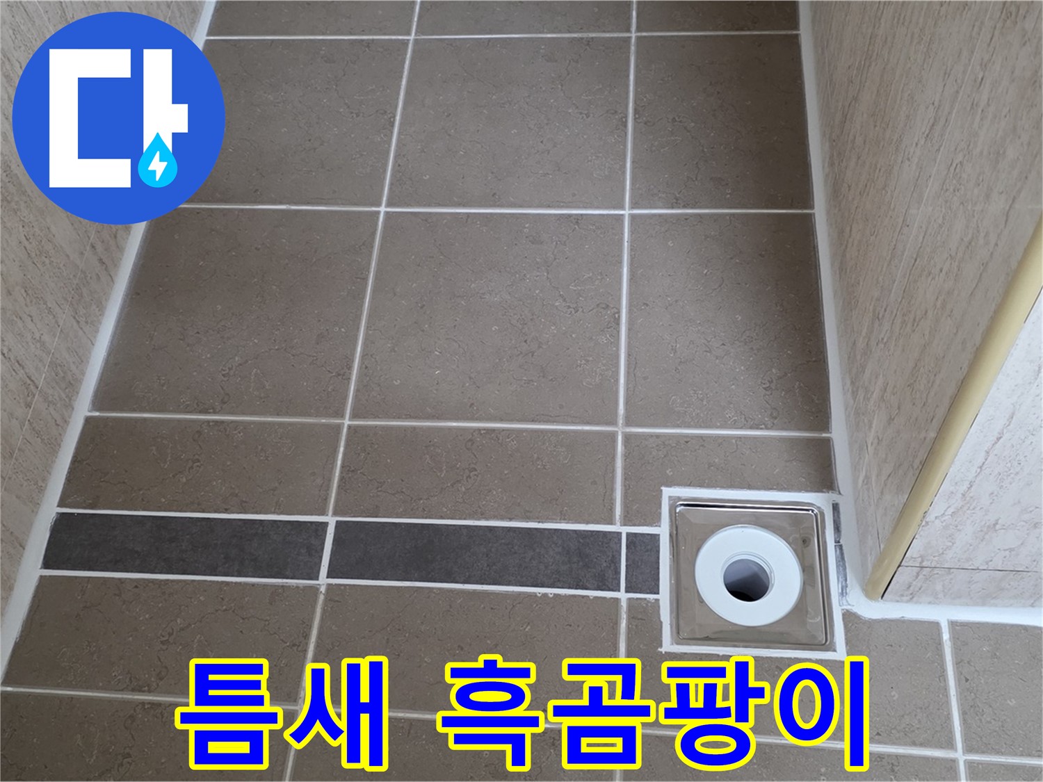 배수구 주변 타일 틈새 - 흑곰팡이