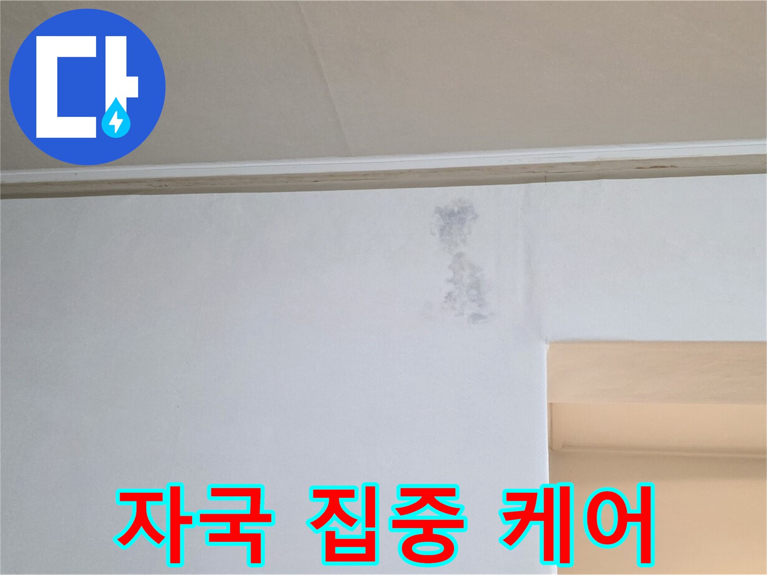 벽 검은 눈물 자국 집중 케어 - 맞춤 솔루션 제공