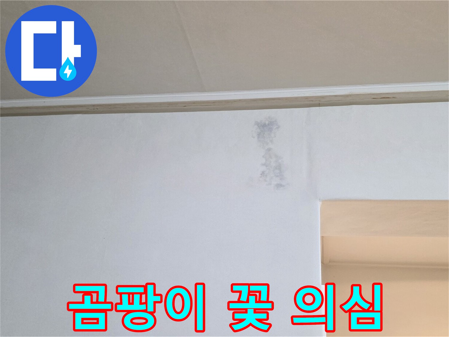 벽 곰팡이 꽃 - 누수 초기 증상 또는 곰팡이 발생 의심