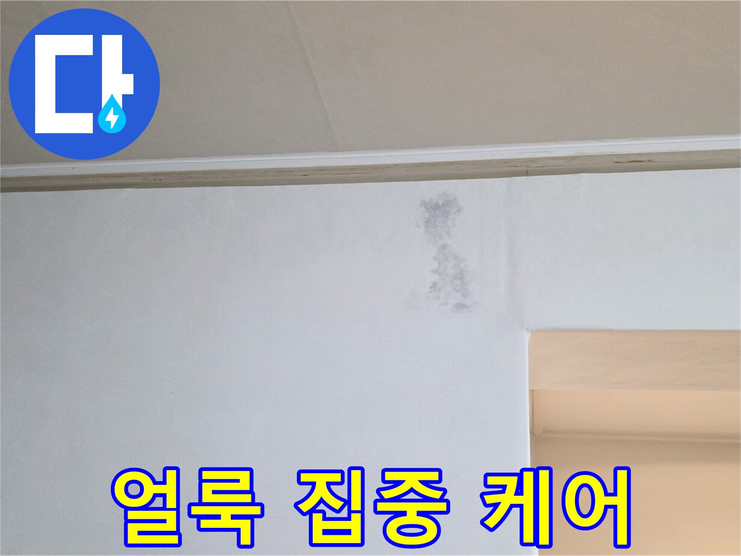 벽 곰팡이 얼룩 집중 케어 - 맞춤 솔루션 제공