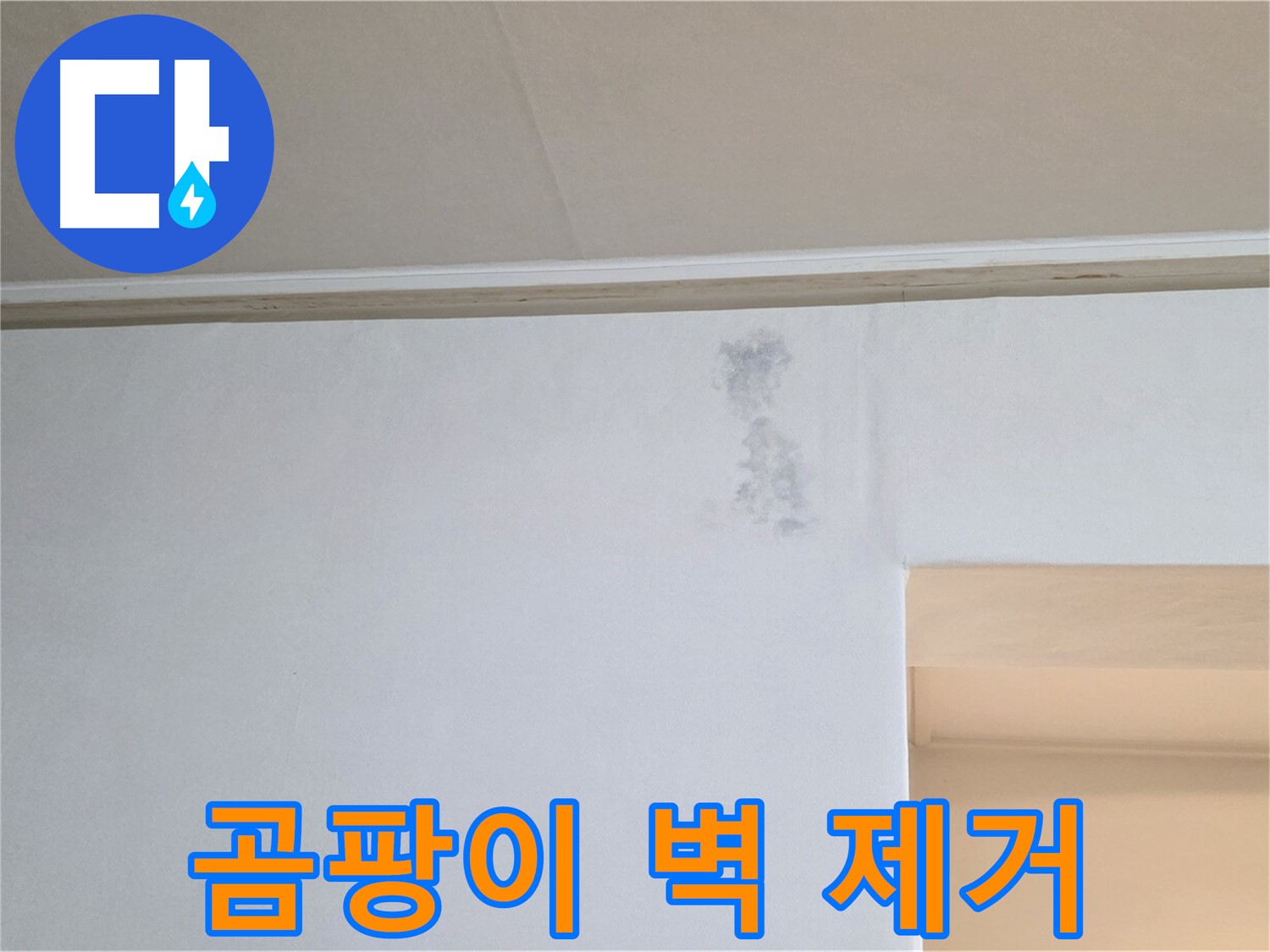 벽 곰팡이 완벽 제거 - 쾌적한 공간
