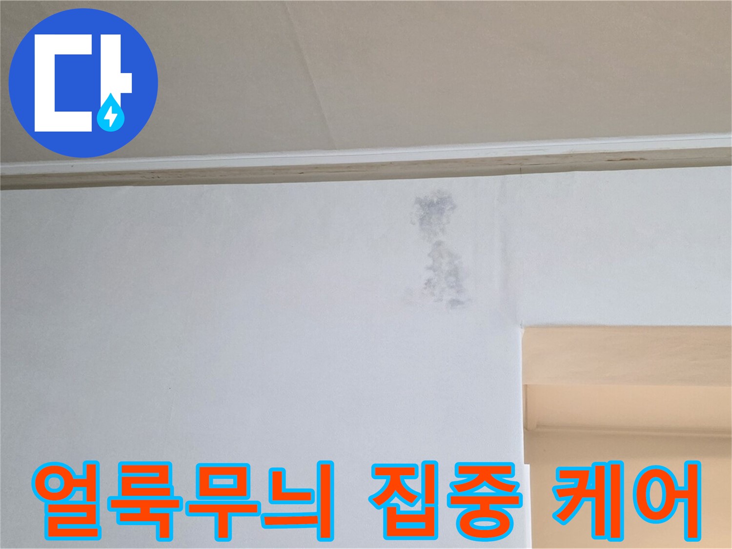 벽 얼룩무늬 집중 케어 - 맞춤 솔루션 제공
