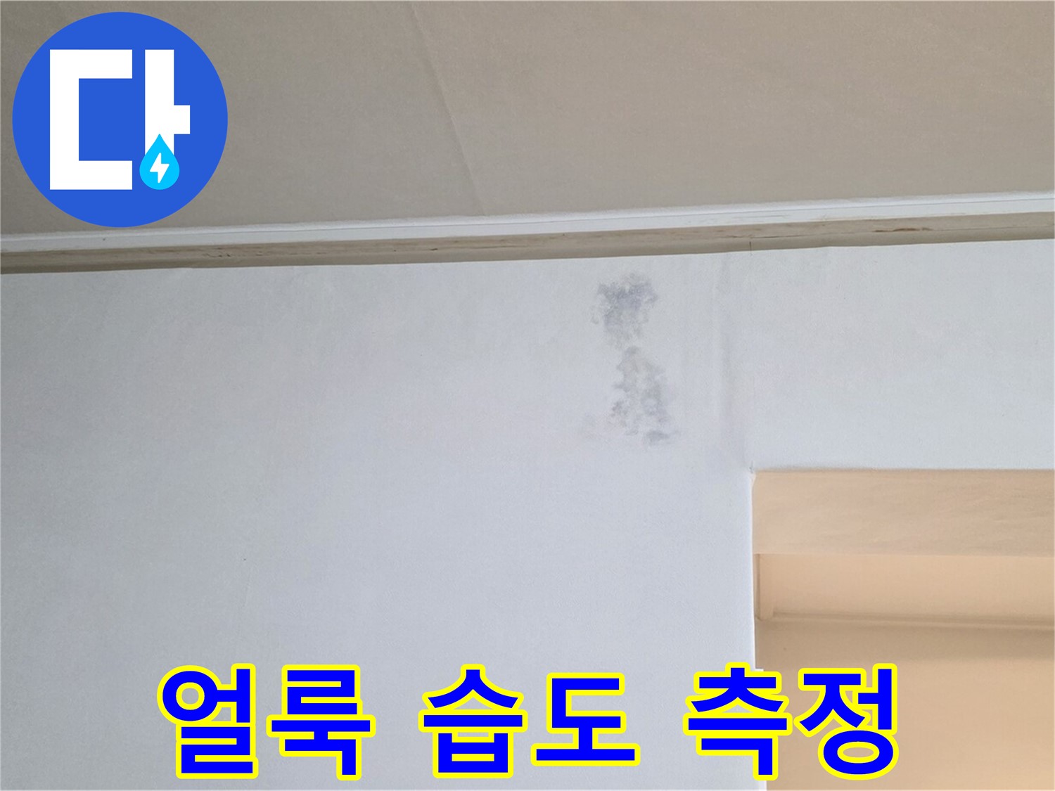 수묵화 얼룩 습도 측정 - 누수 & 곰팡이 정밀 과학 수사