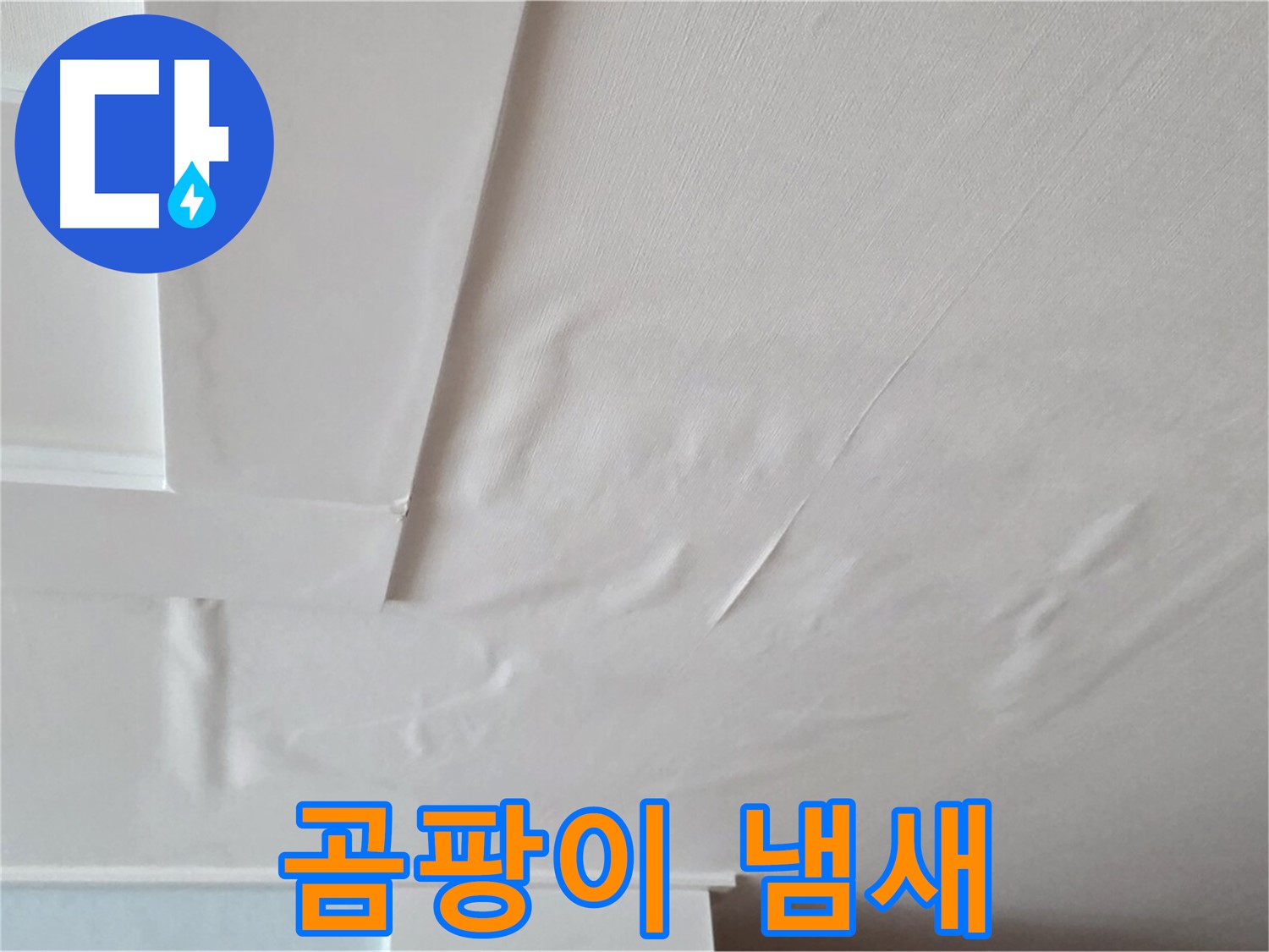 일동기산베스트빌 아파트 천장 누수 - 곰팡이 냄새 - 기억력 감퇴 - 치매 유발