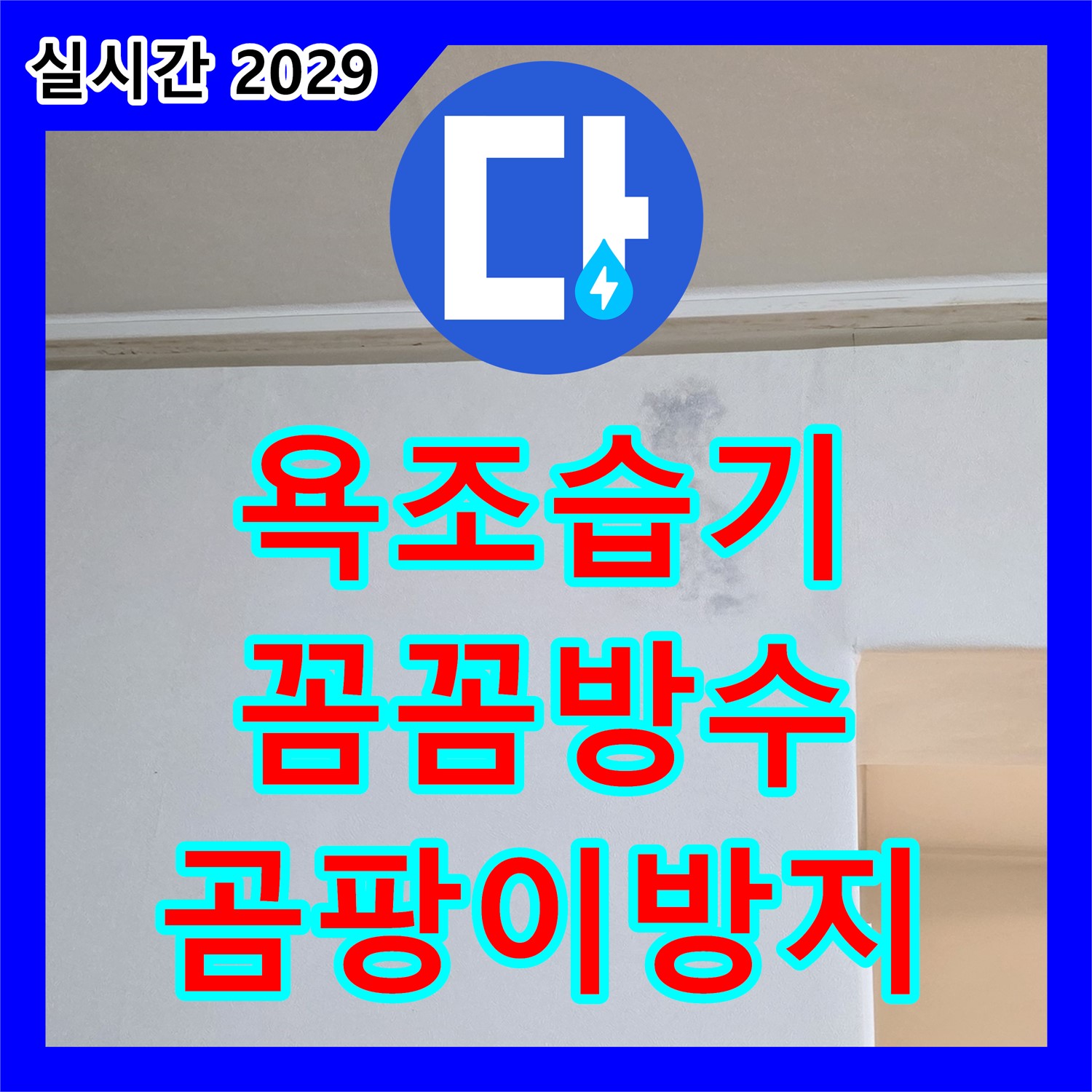 일동면 누수전문업체, 욕조 하단 습기 - 꼼꼼한 방수 시공으로 곰팡이 원천 봉쇄