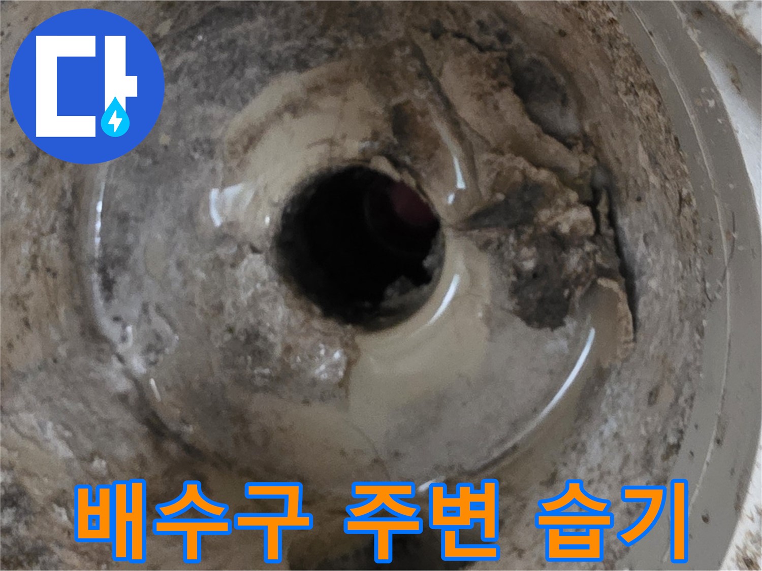 포천 일동 기산베스트빌 아파트 - 베란다 배수구 주변 습기, 누수 가능성 진단