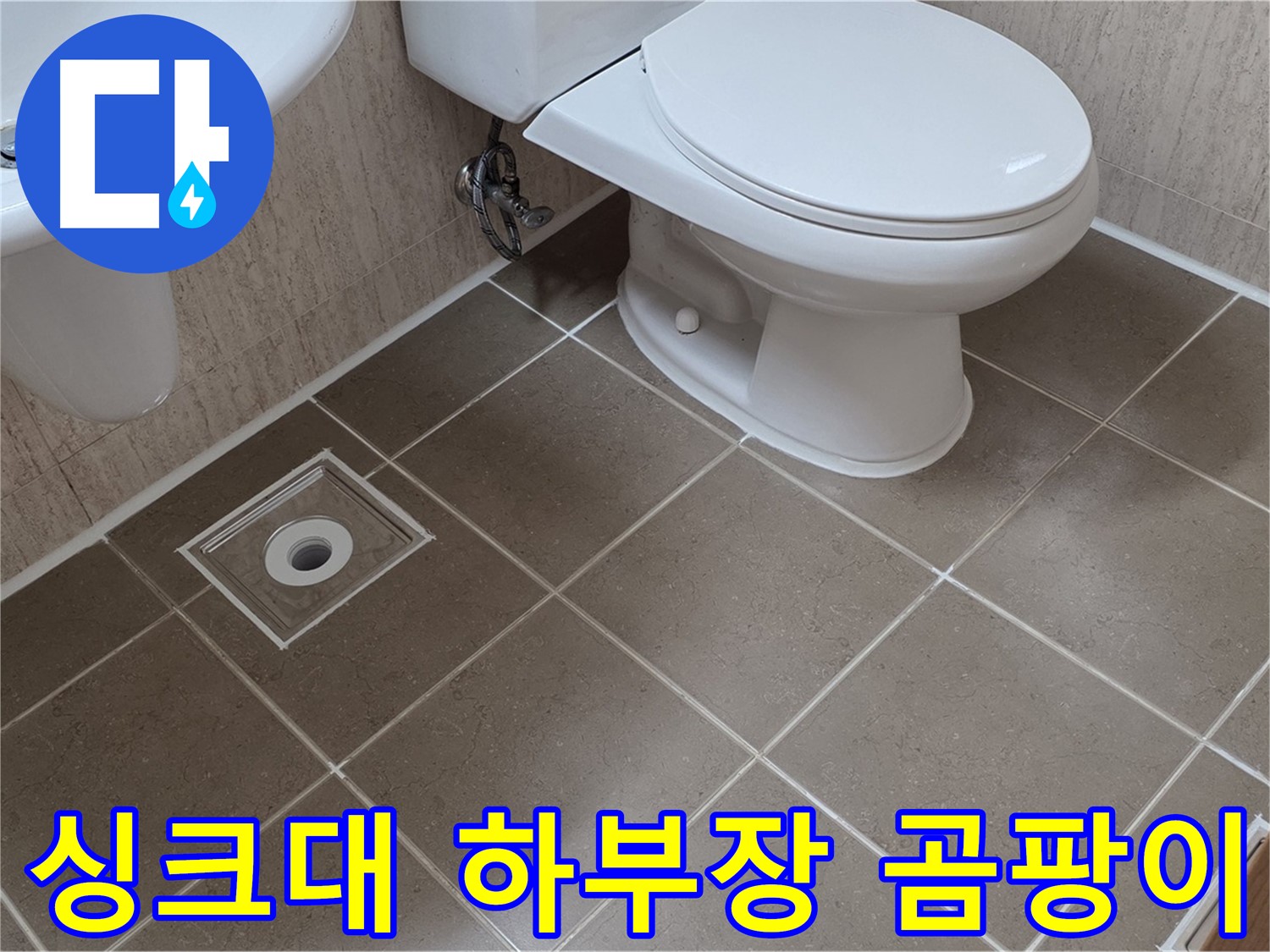 포천 일동 기산베스트빌 아파트 - 싱크대 하부장 곰팡이 확인