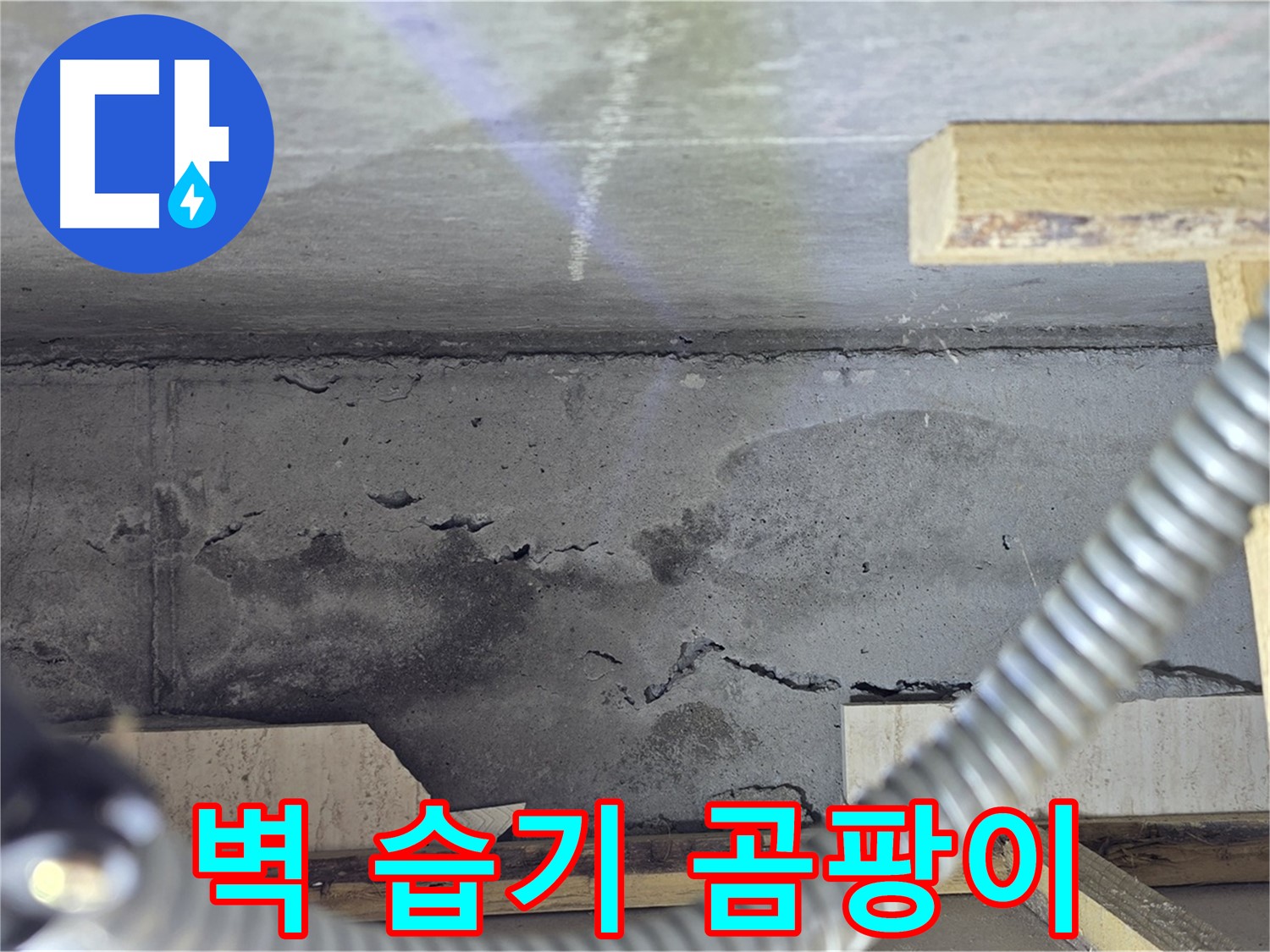 포천 일동 - 벽 습기 곰팡이 누수 사전 조치