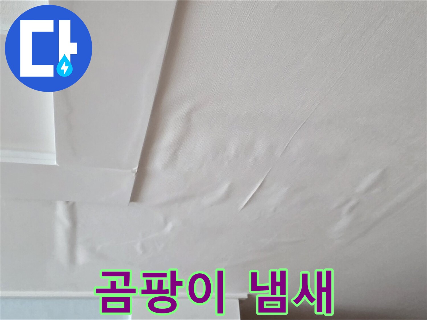 포천 일동 아파트 천장 누수 - 곰팡이 냄새 - 우울증 유발 - 정신 건강 악화