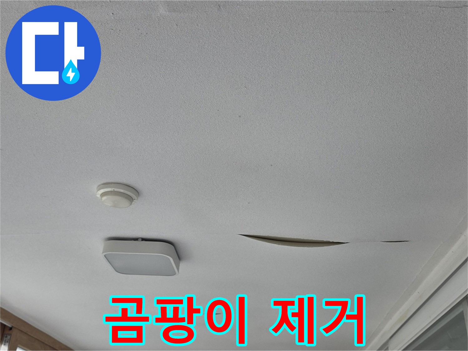 포천 일동 아파트 천장 누수 - 곰팡이 석고보드 제거 및 완벽 교체