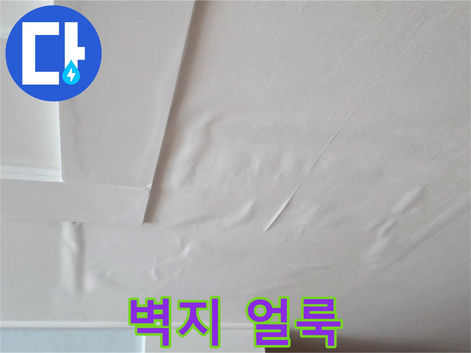 포천 일동 아파트 천장 누수 - 벽지 얼룩과 곰팡이 포자 확산