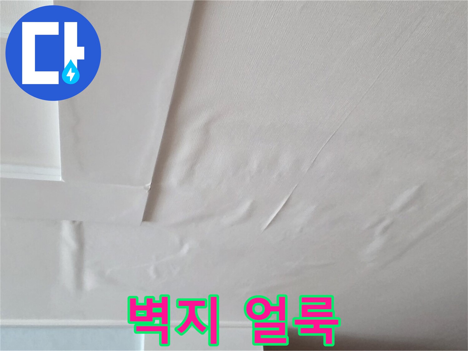포천 일동 아파트 천장 누수 - 벽지 얼룩과 곰팡이 포자 확산