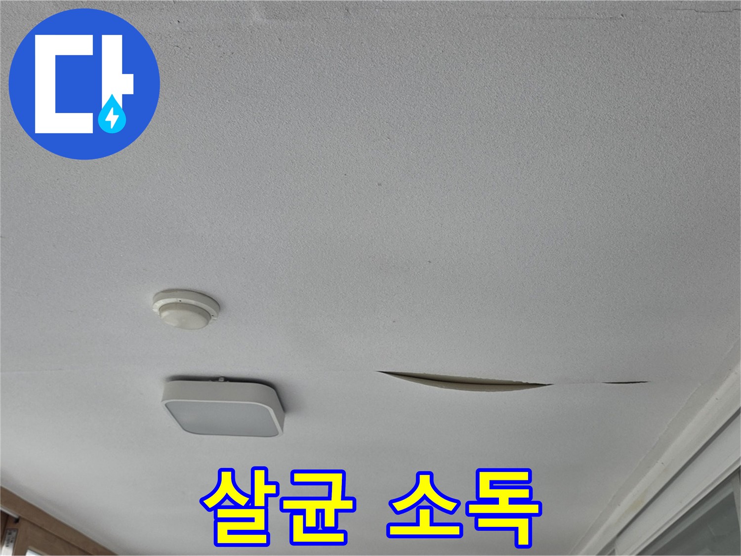 포천 일동 아파트 천장 누수 - 석고보드 곰팡이 포자 살균 소독