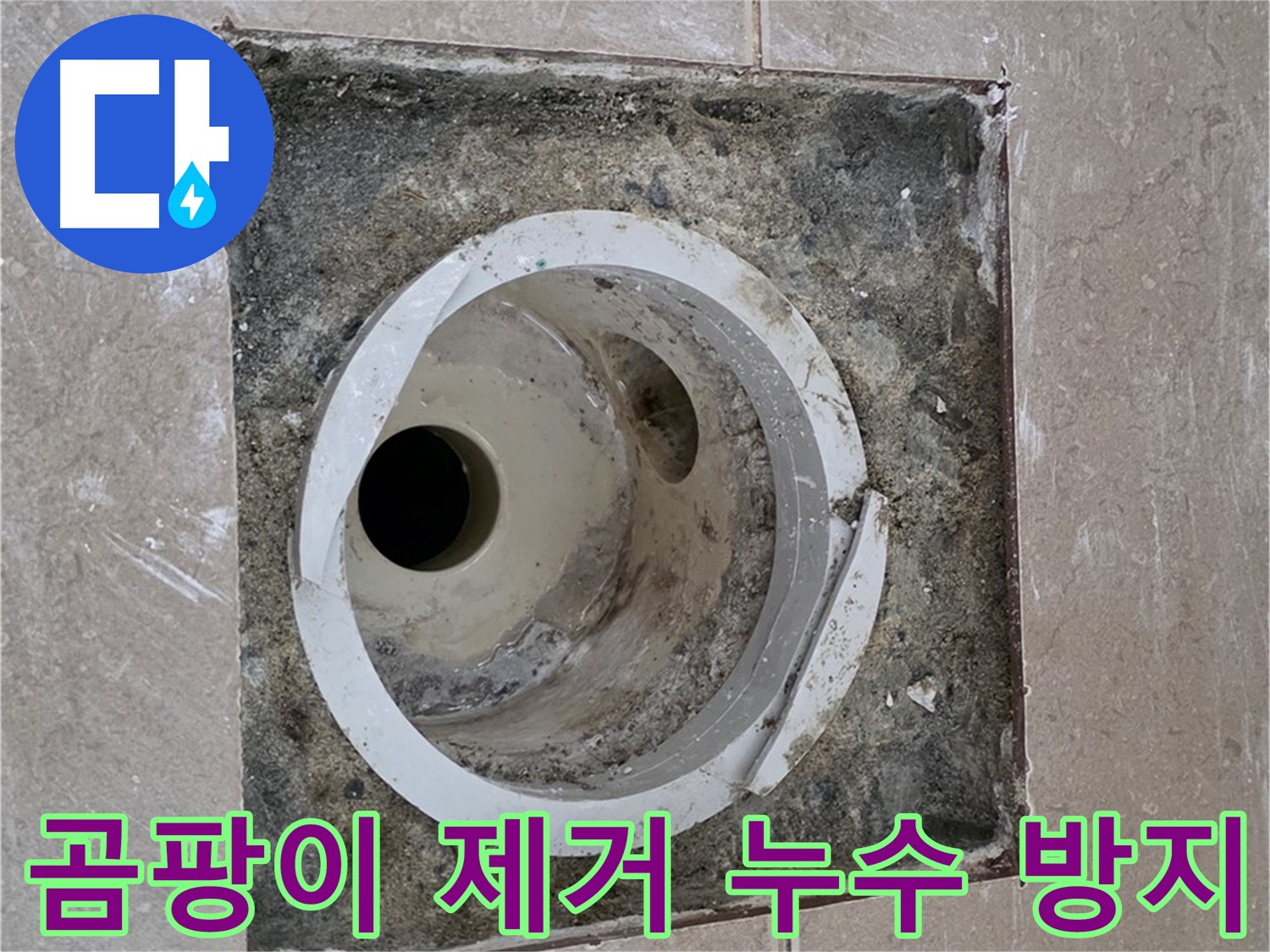 포천 일동 아파트 화장실 배수구 누수 - 곰팡이 제거 및 누수 방지 시공으로 쾌적한 환경 조성