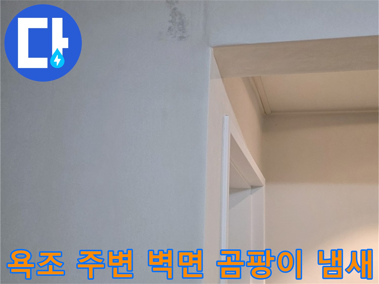 포천시 일동 기산리 아파트 욕조 주변 벽면 곰팡이 냄새 - 건강 적신호 및 긴급 점검 필요