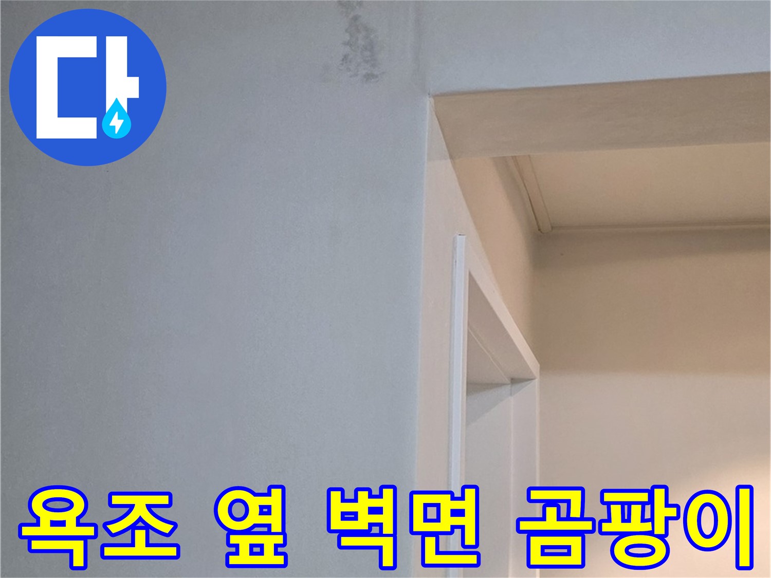 포천시 일동면 기산리 아파트 욕조 옆 벽면 곰팡이 - 건강 위협 및 확실한 해결