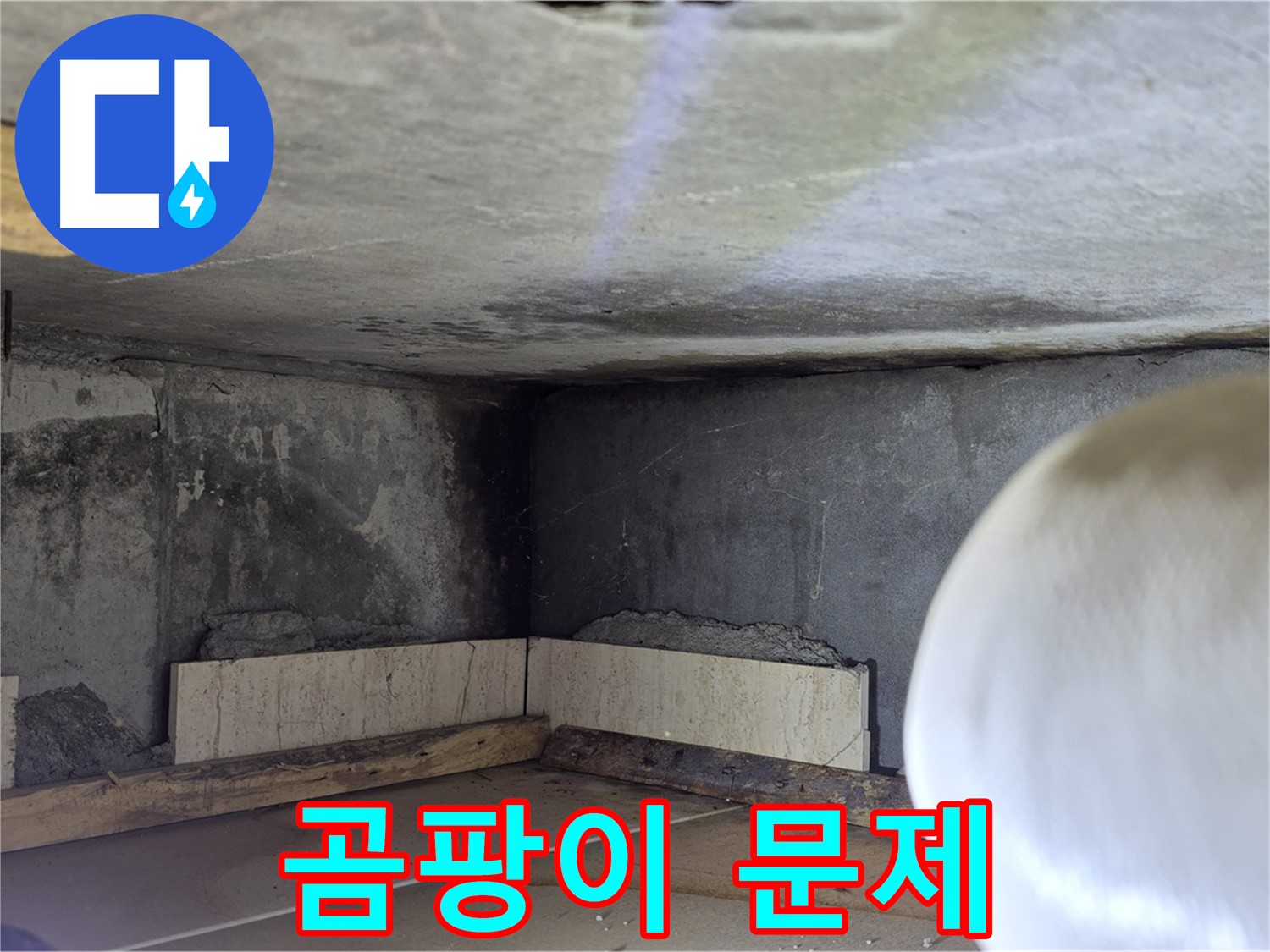 포천시 일동면 기산베스트빌 아파트 곰팡이 문제 - 건강을 위협하는 누수, 즉시 해결