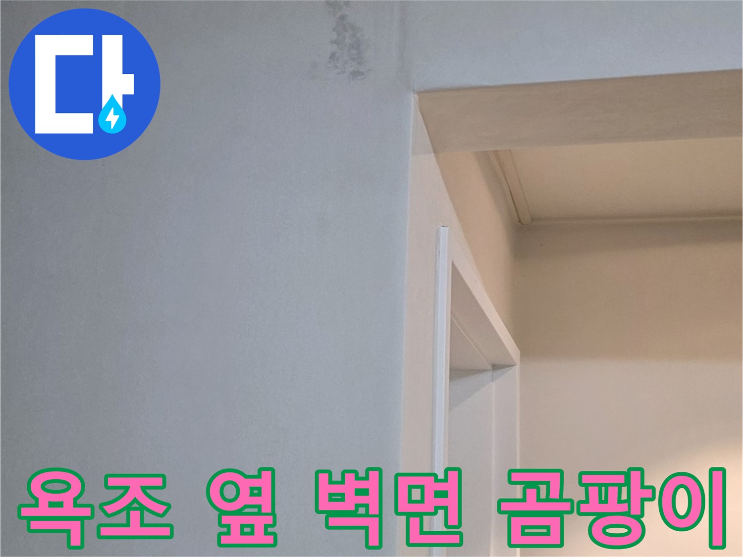 포천시 일동면 기산베스트빌 아파트 욕조 옆 벽면 곰팡이 - 건강 위협 및 곰팡이 제거