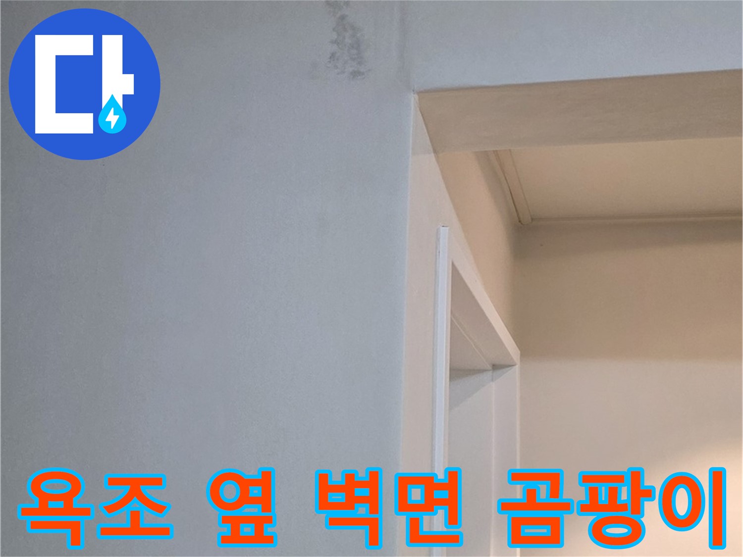 포천시 일동면 기산베스트빌 아파트 욕조 옆 벽면 곰팡이 - 곰팡이 완전 박멸