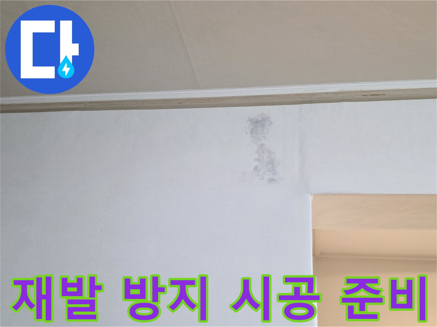 곰팡이 재발 방지 시공 준비 - 친환경 약품 사용